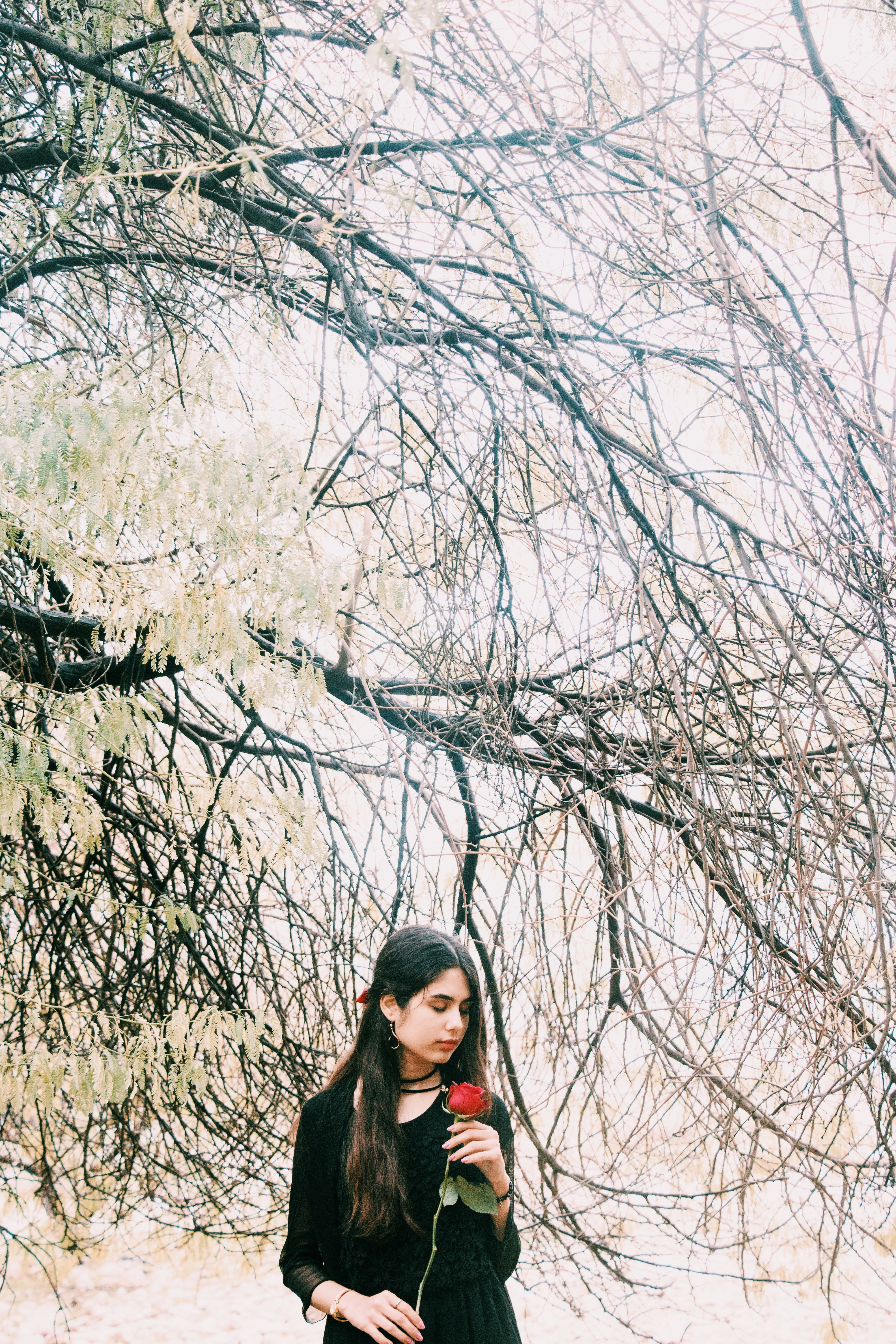 Photo by nasrinpakari