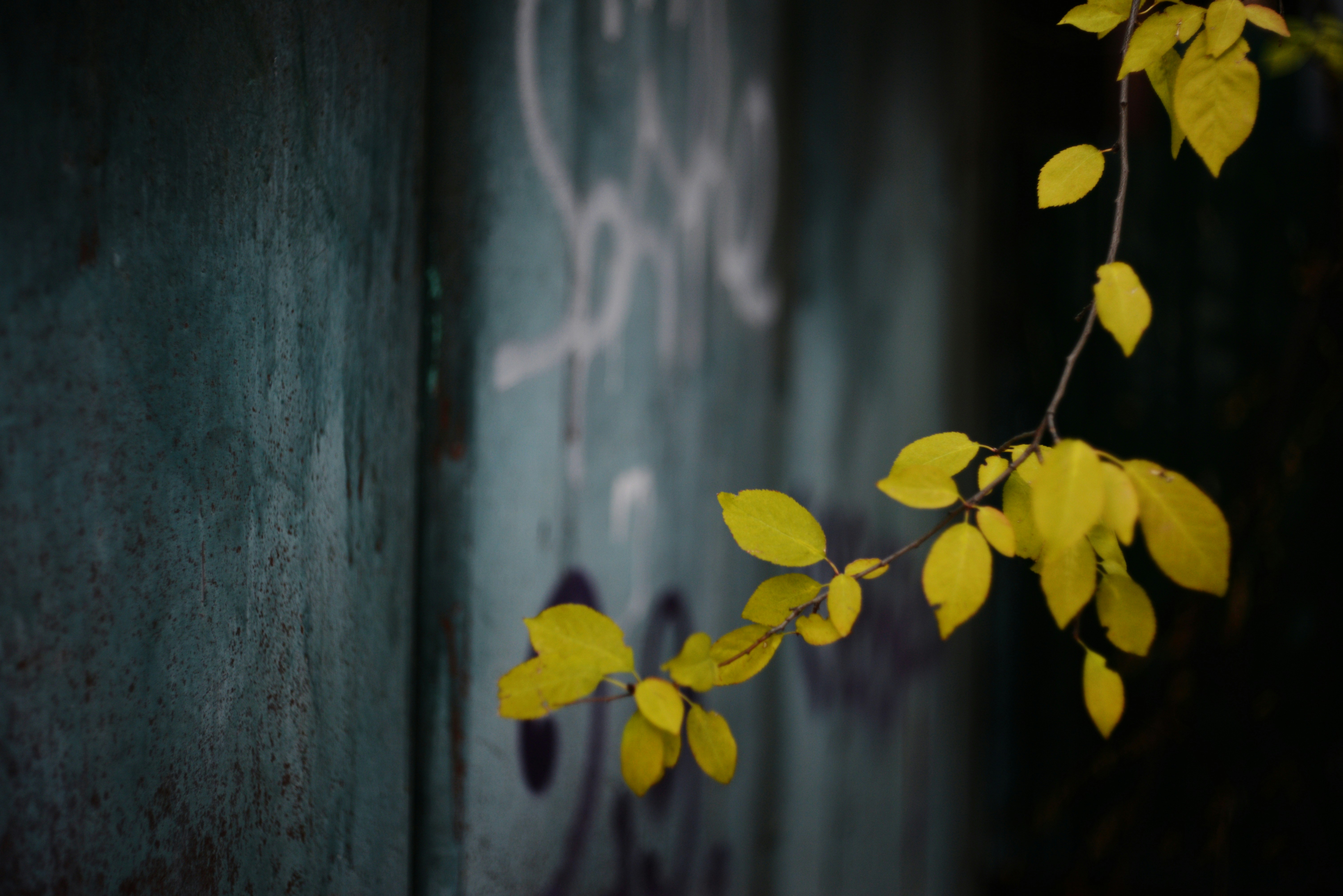 Photo by cherstve_pechivo