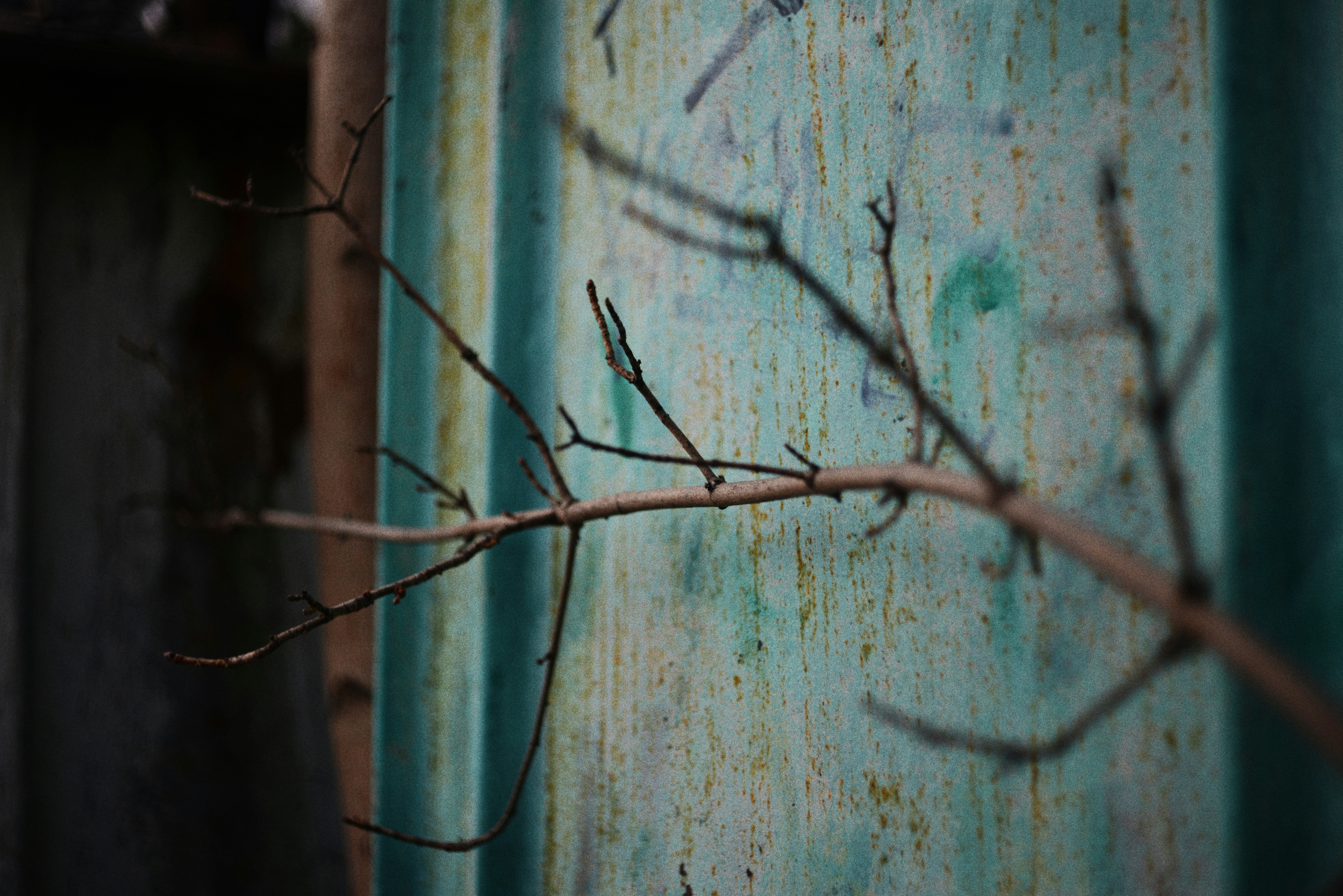 Photo by cherstve_pechivo