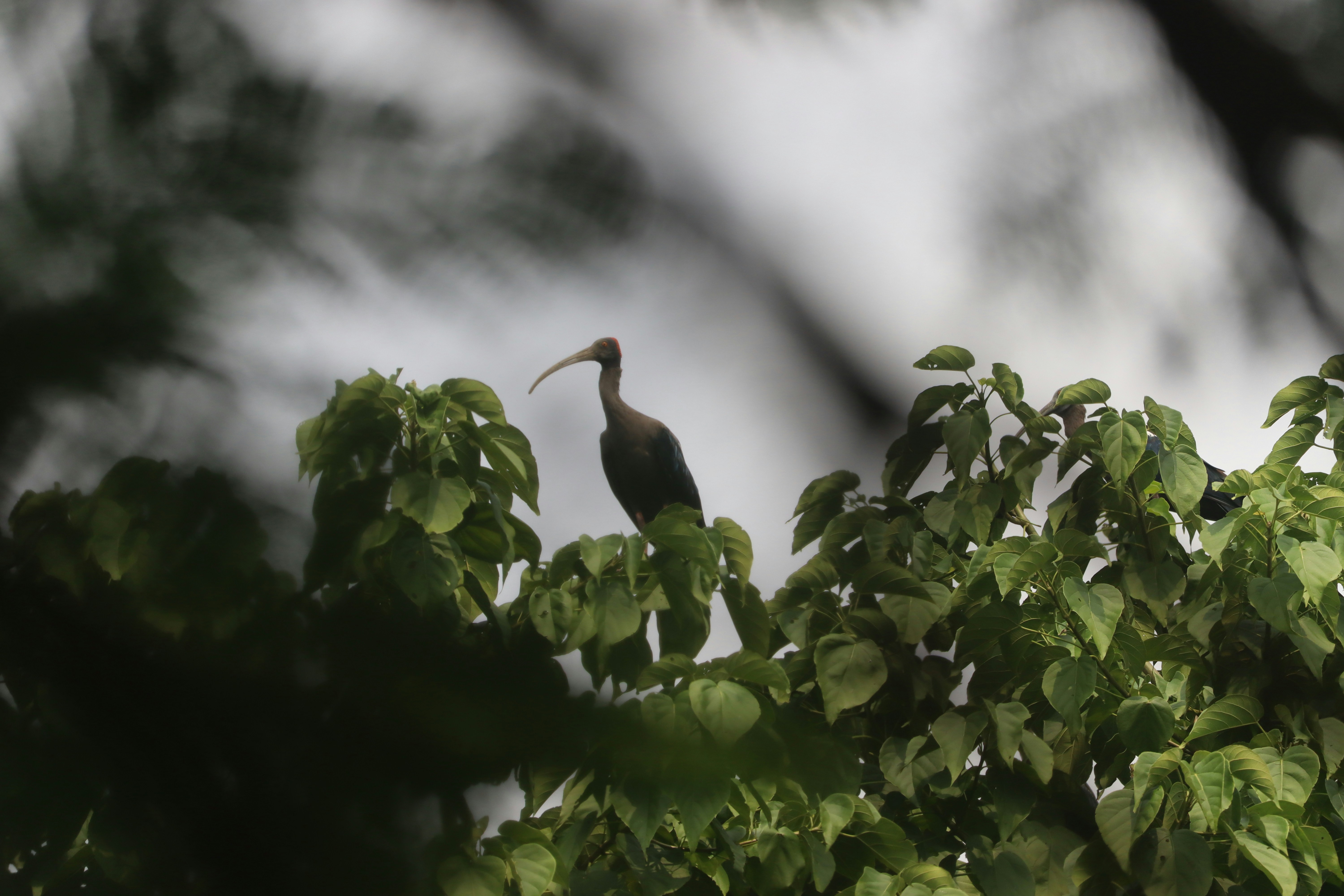 Photo by soonamwooeser