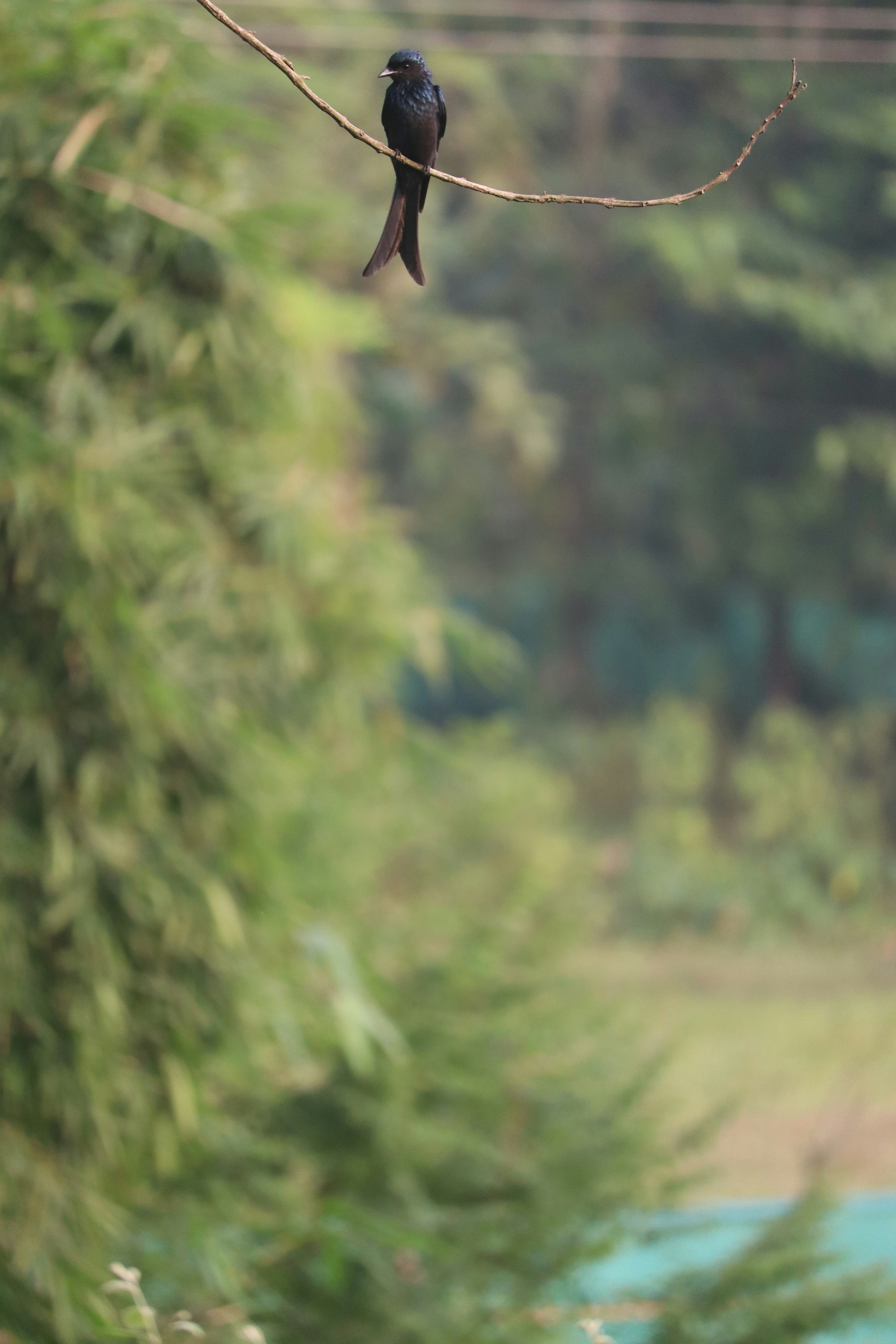 Photo by soonamwooeser