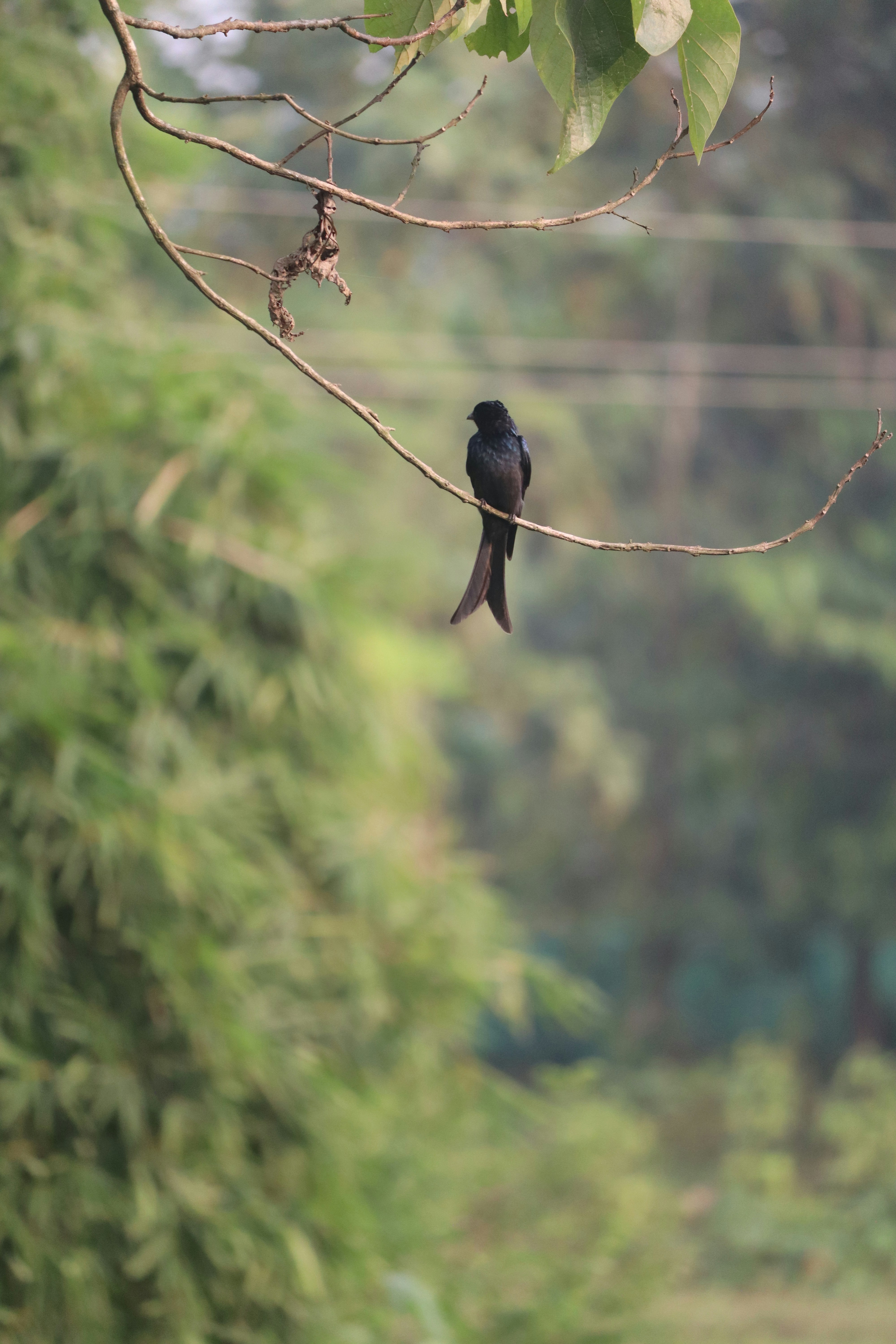 Photo by soonamwooeser