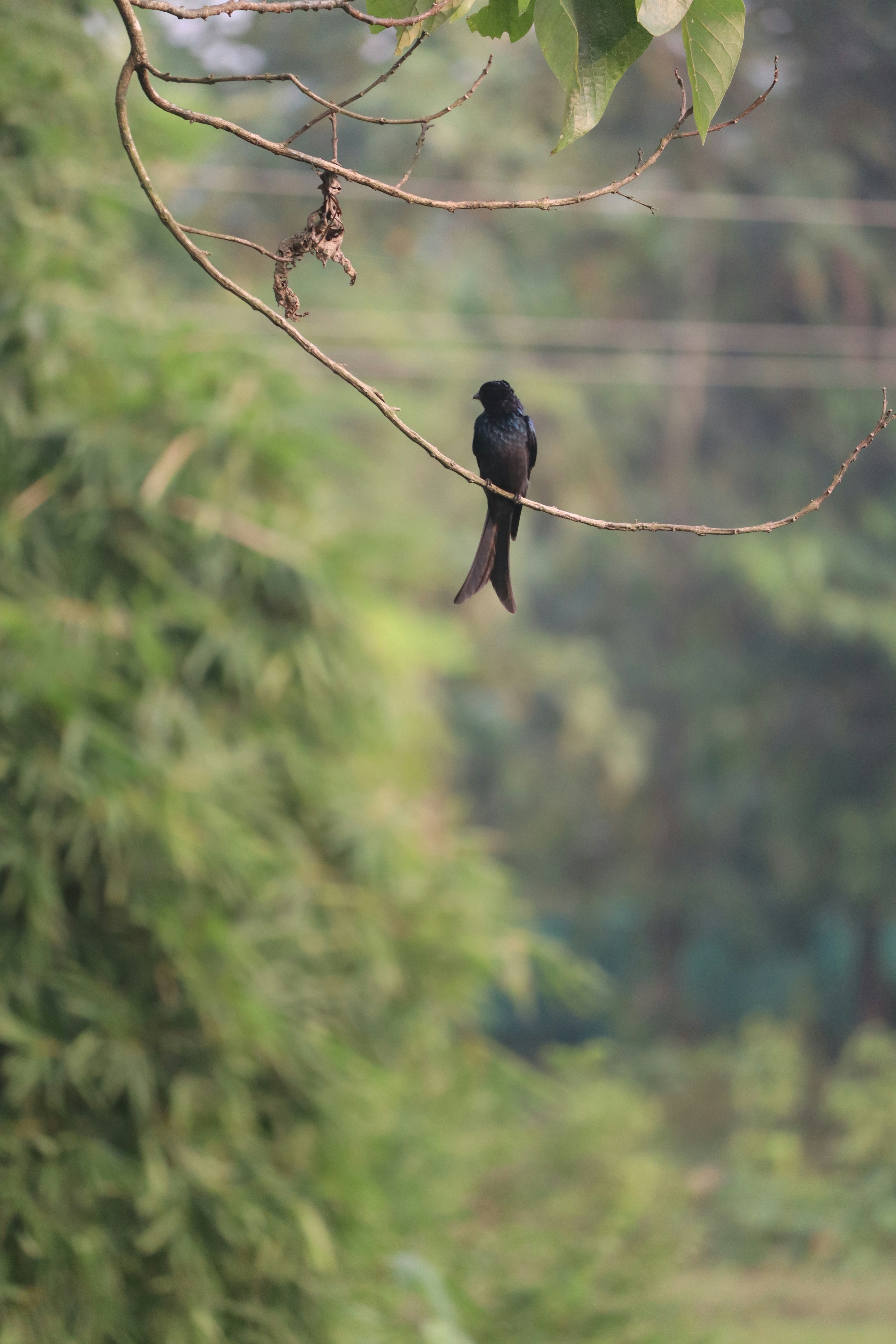 Photo by soonamwooeser