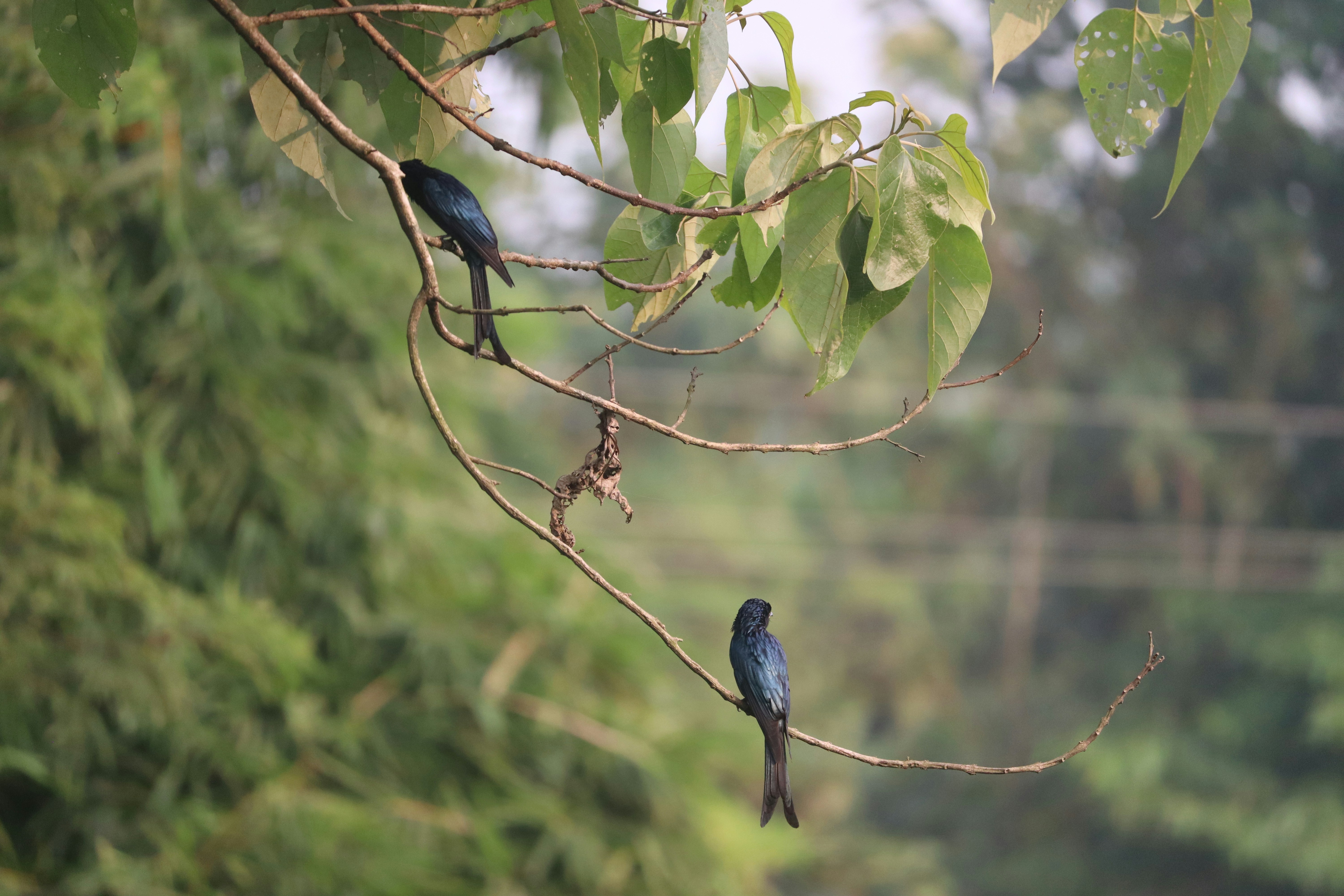 Photo by soonamwooeser