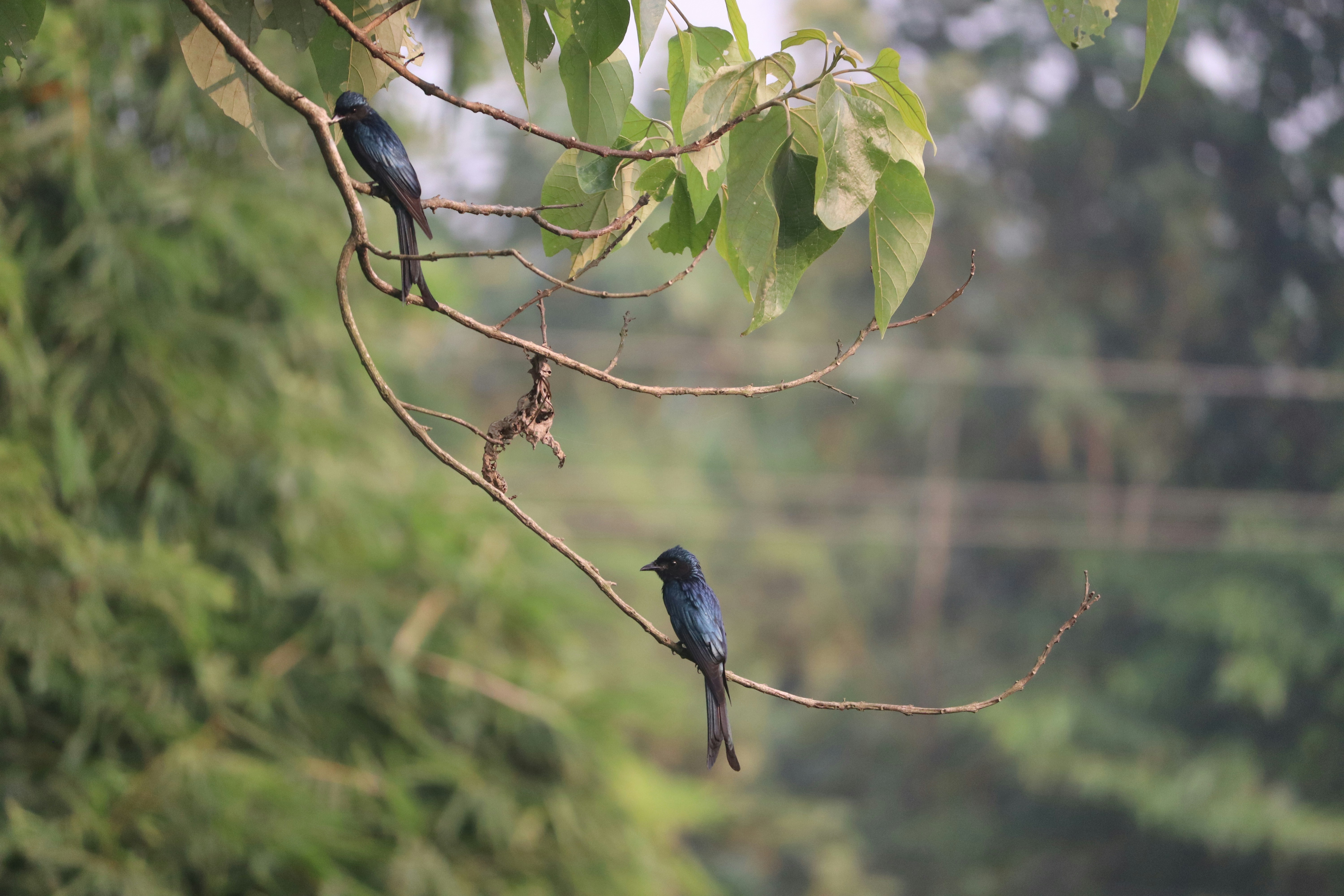 Photo by soonamwooeser