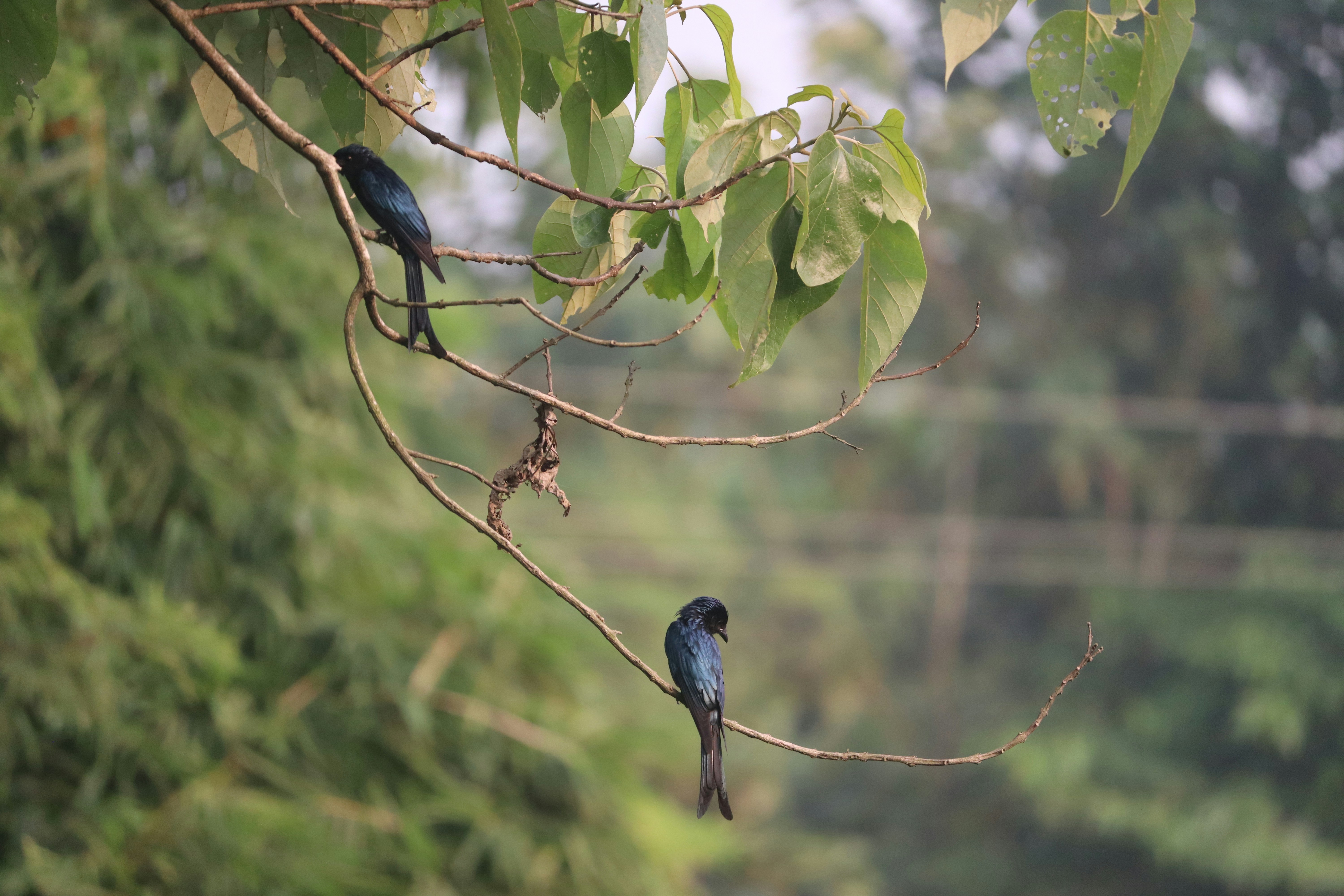 Photo by soonamwooeser