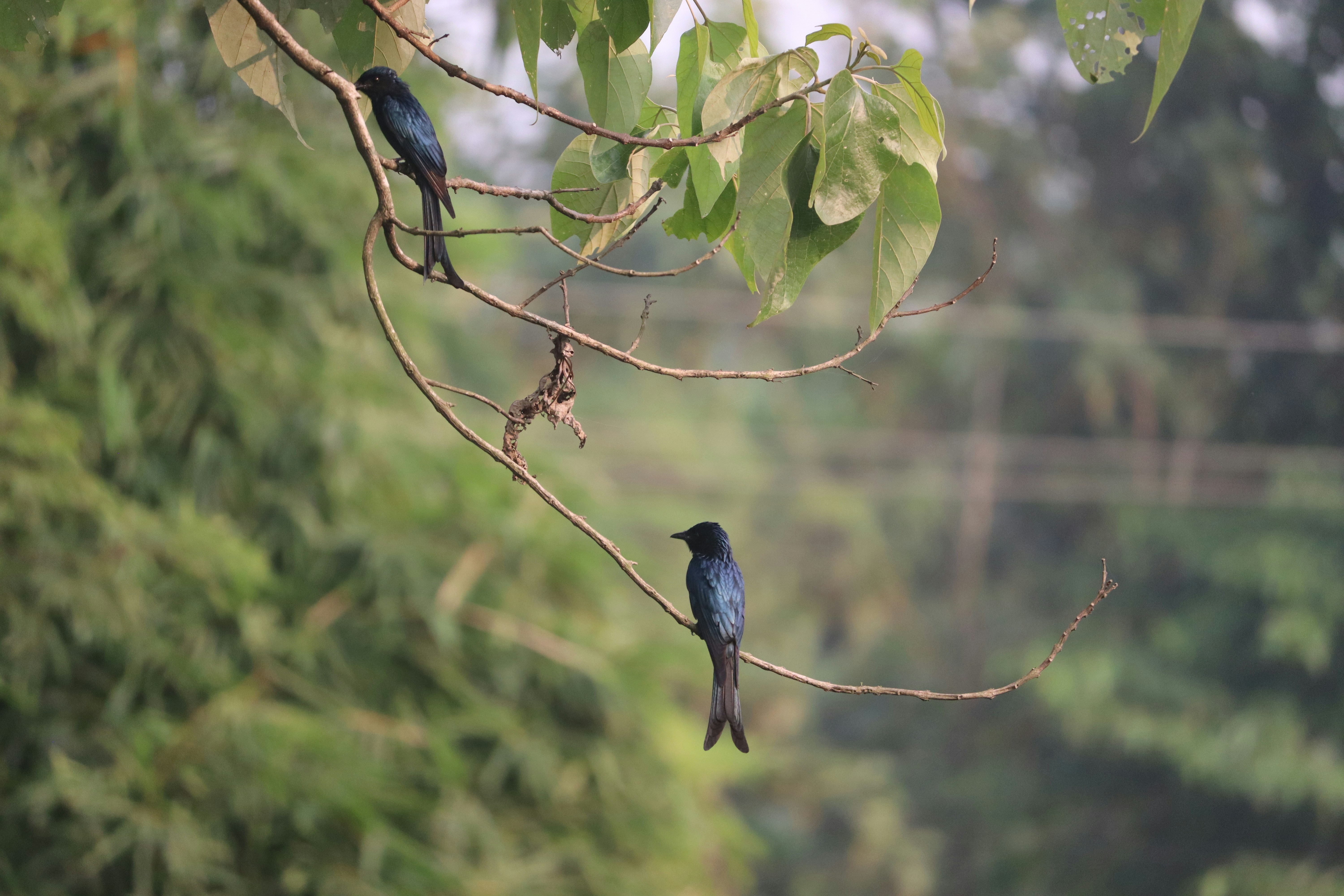 Photo by soonamwooeser