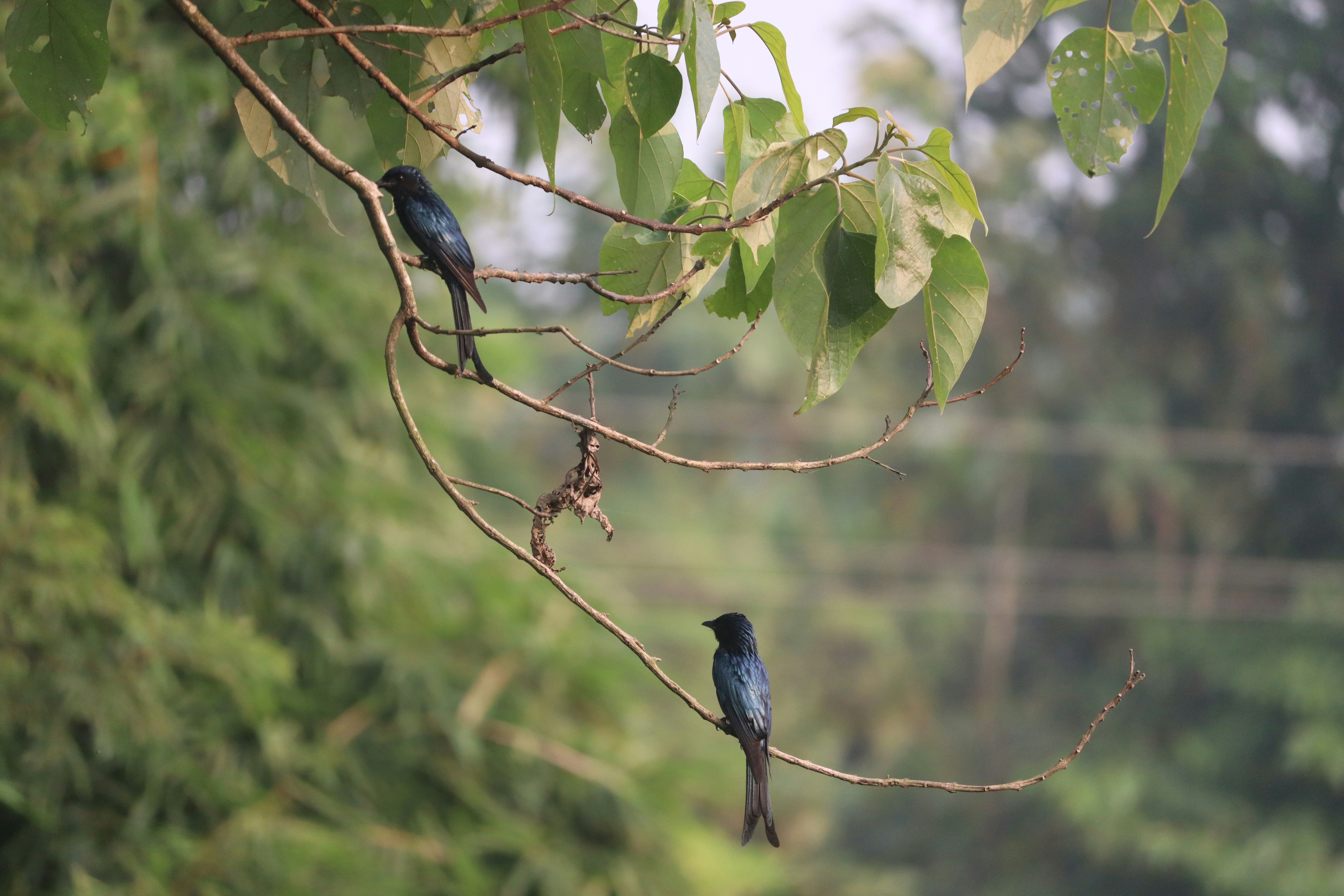 Photo by soonamwooeser