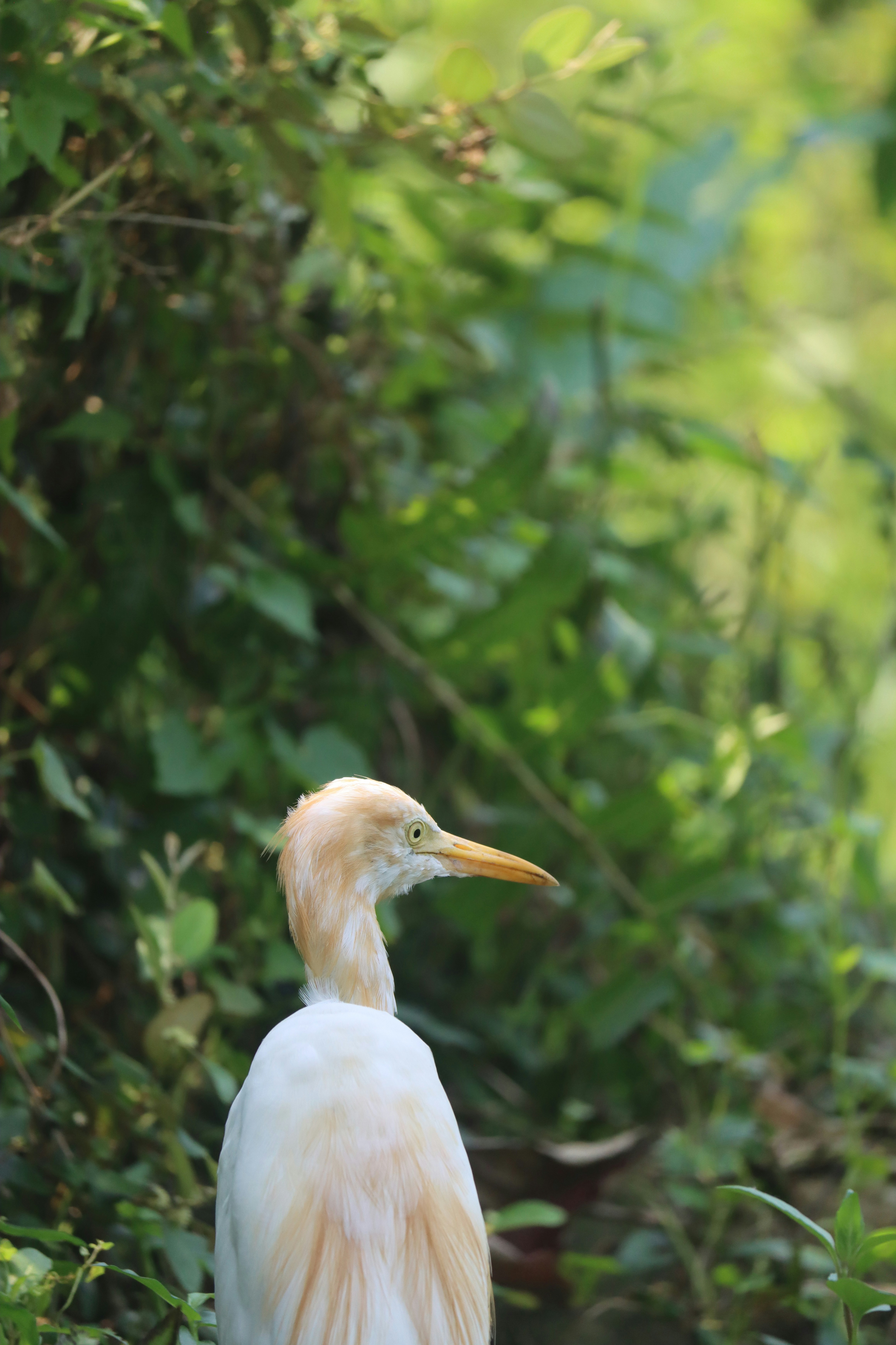 Photo by soonamwooeser