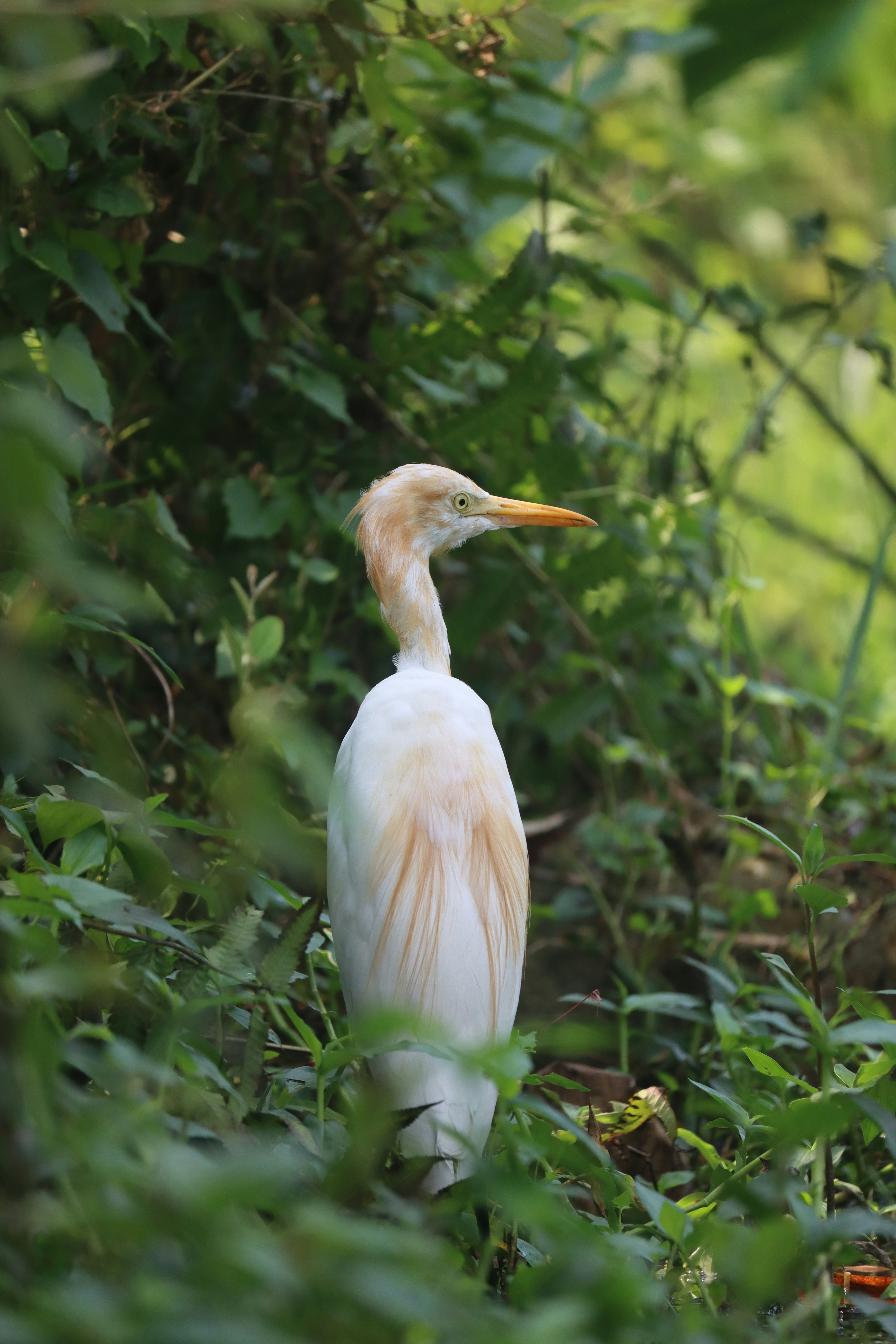 Photo by soonamwooeser