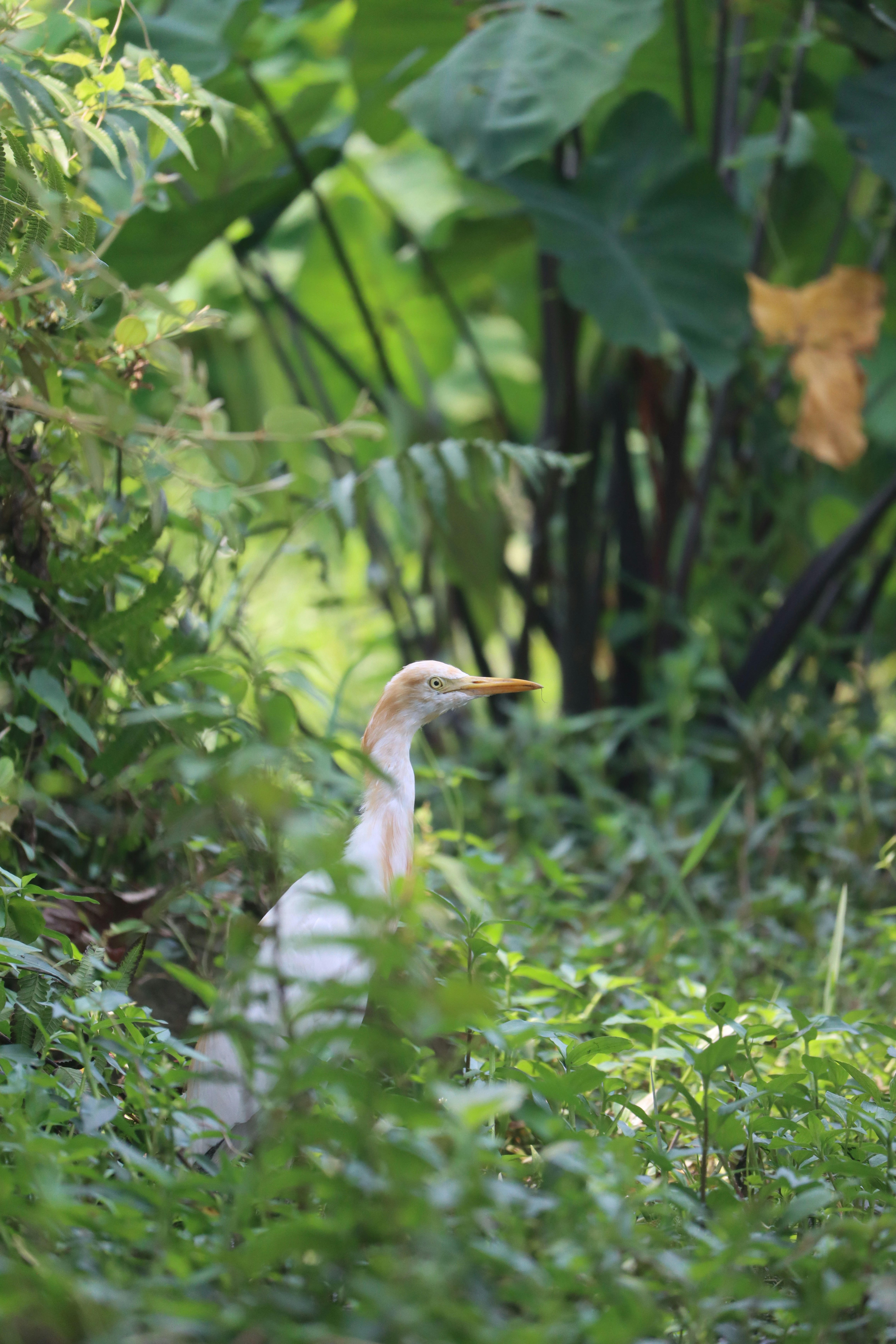 Photo by soonamwooeser