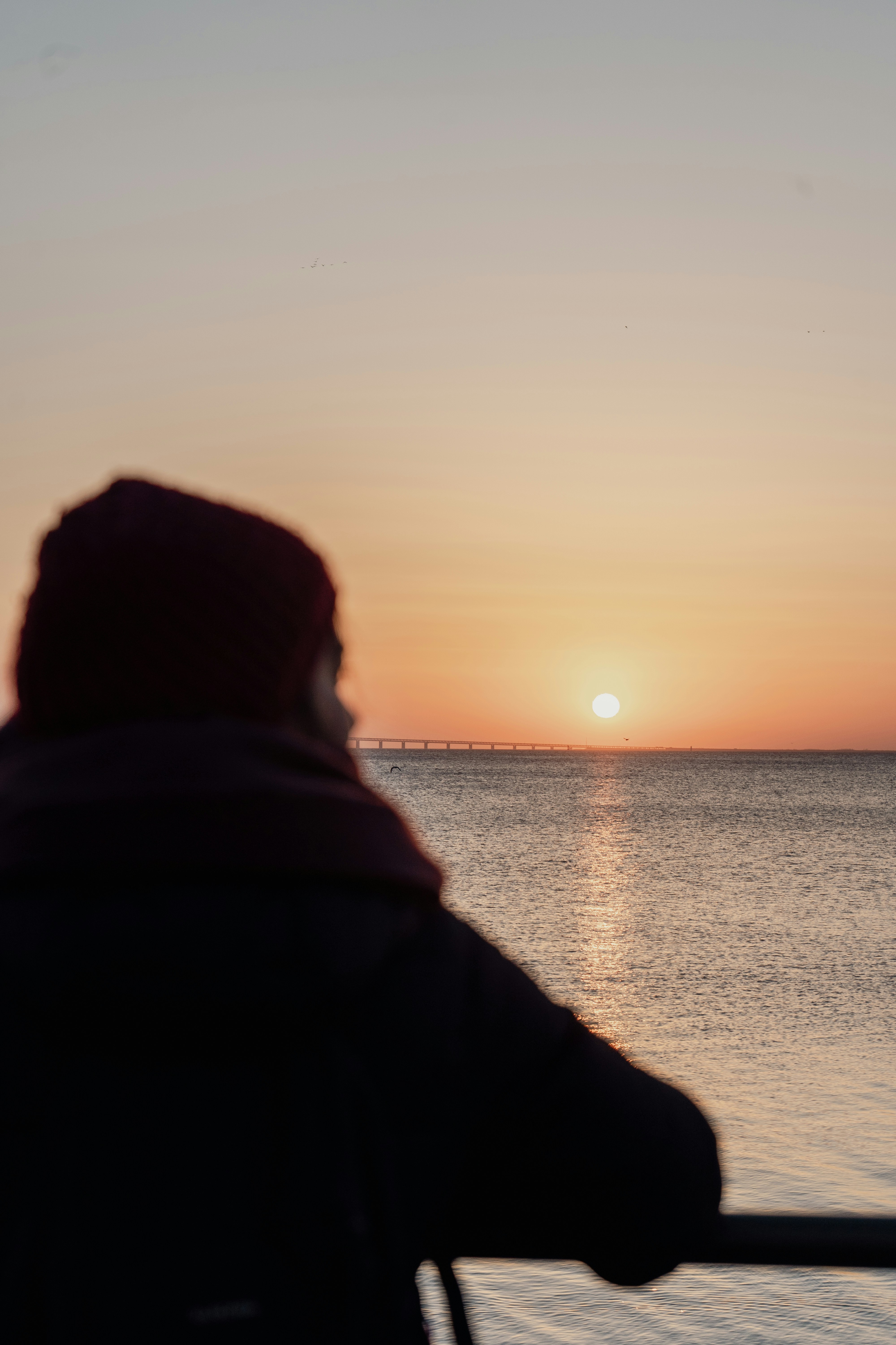 Photo by karthickgislen