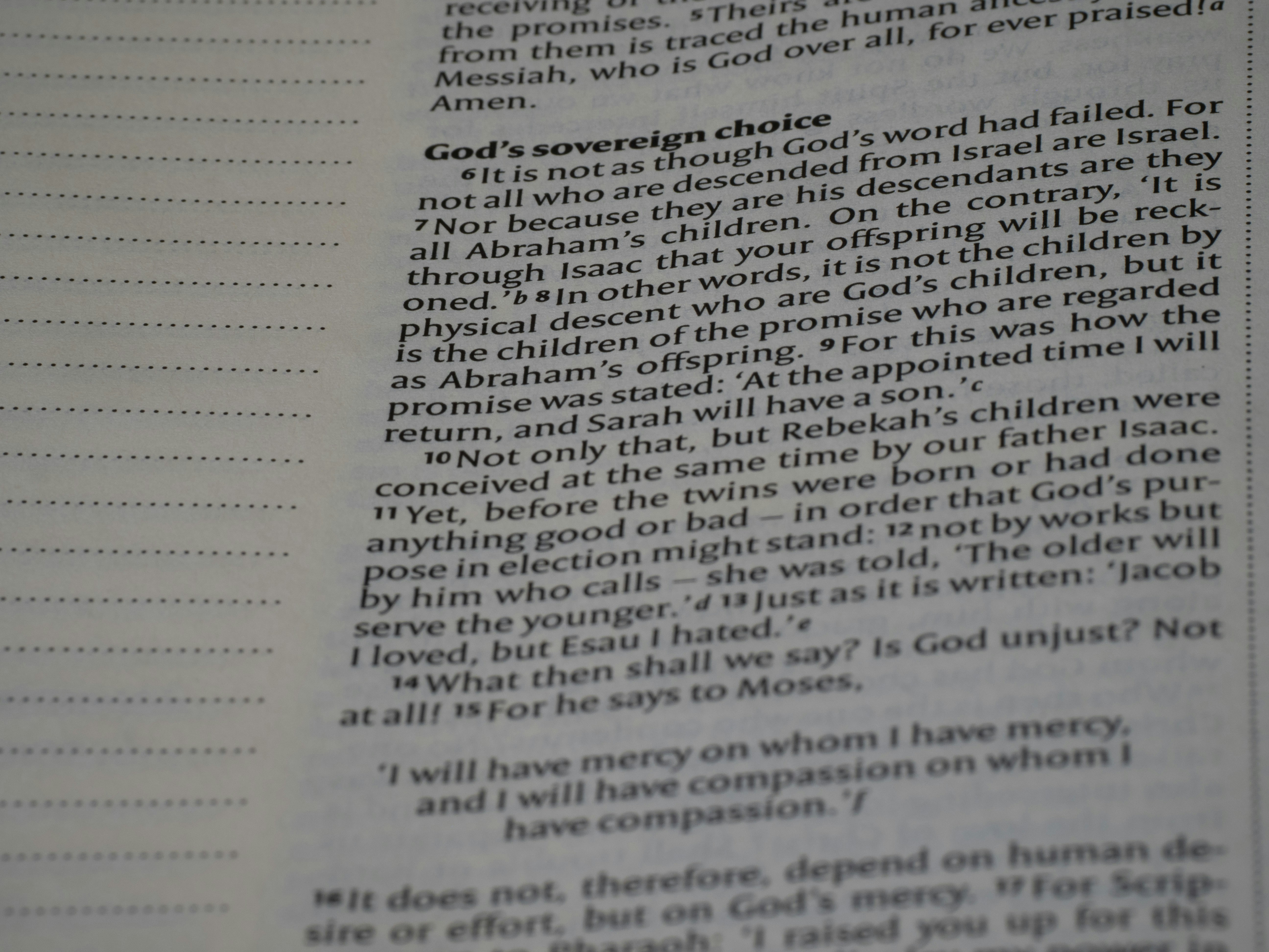 Photo by brett_jordan