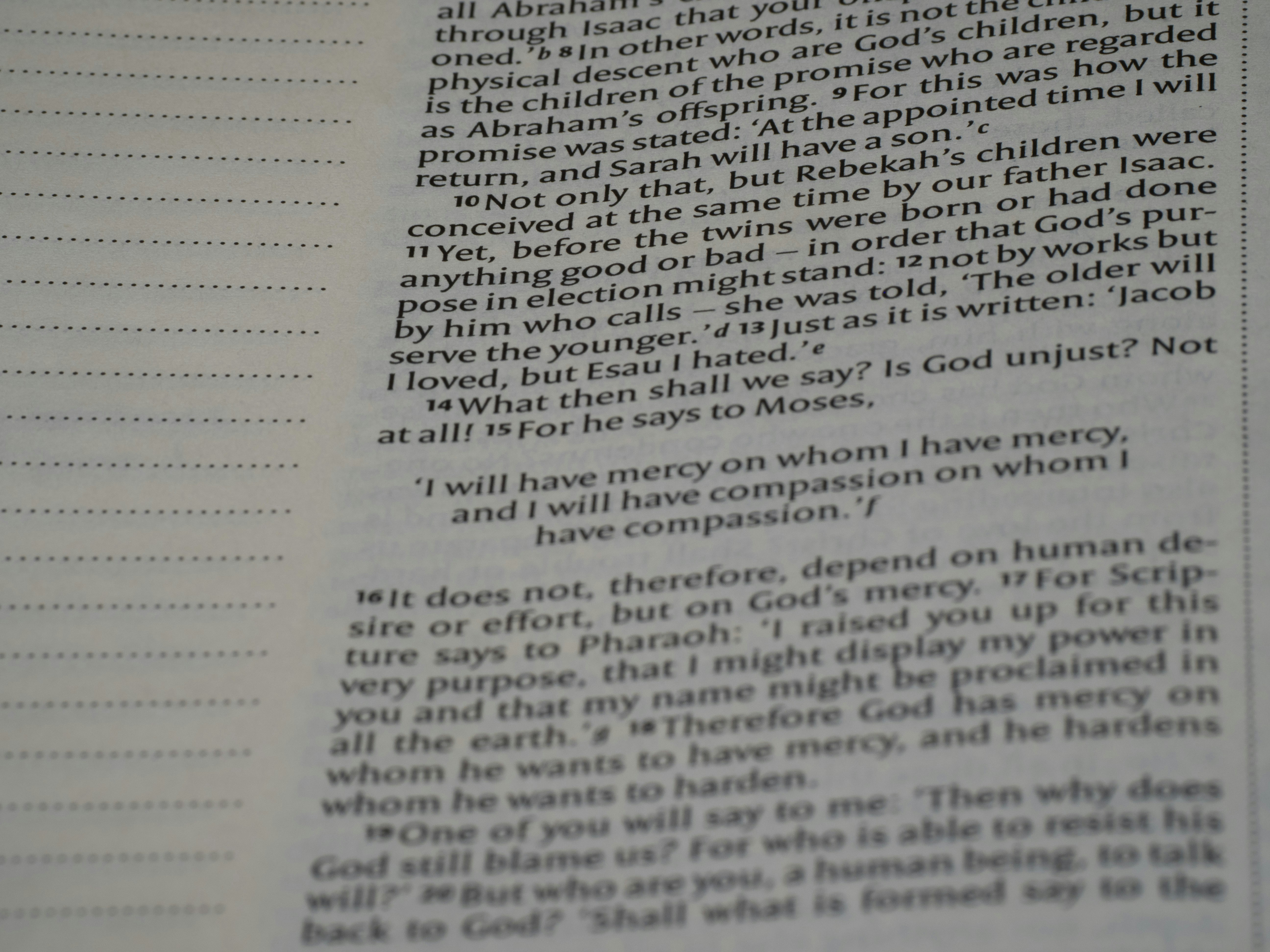 Photo by brett_jordan