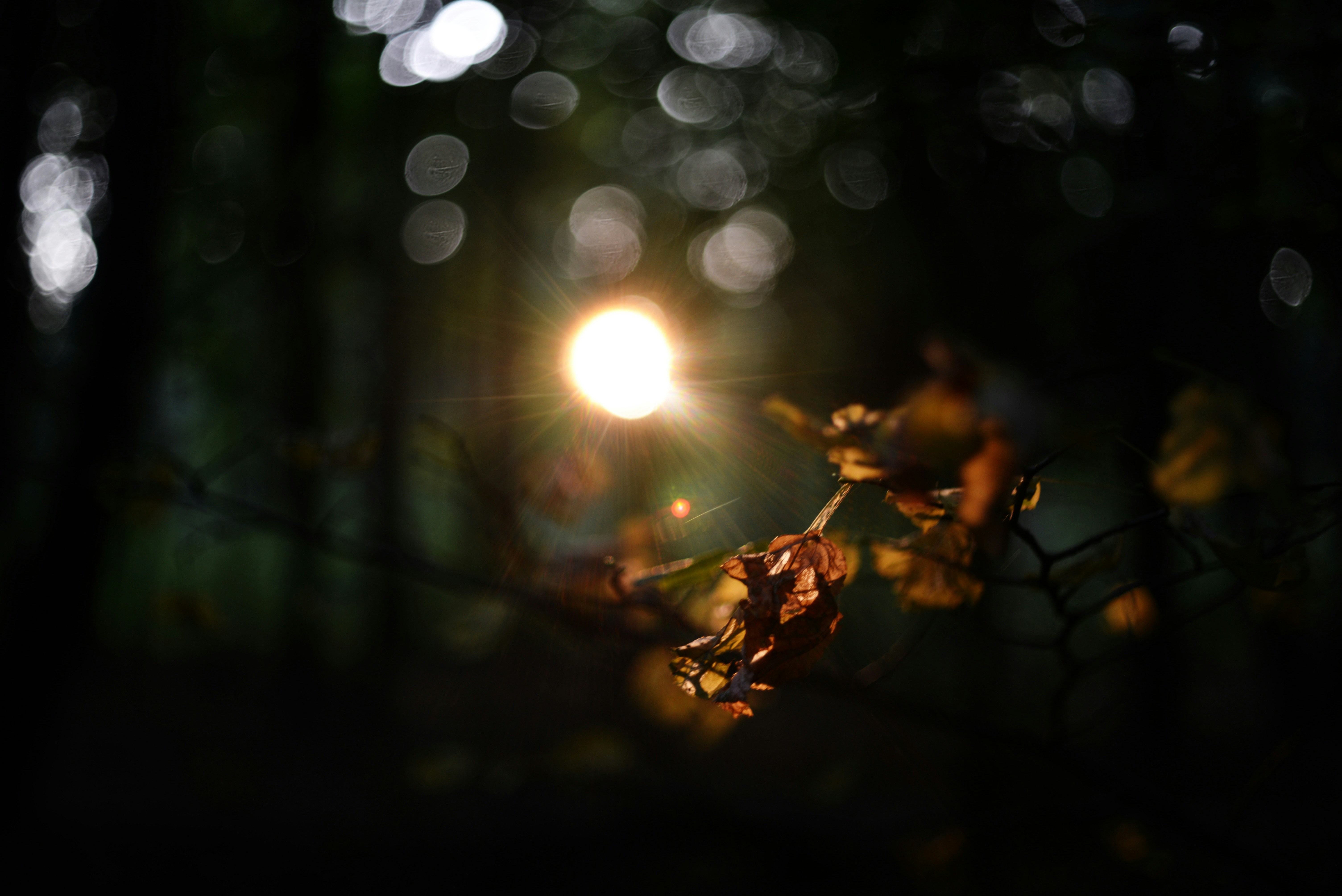 Photo by cherstve_pechivo