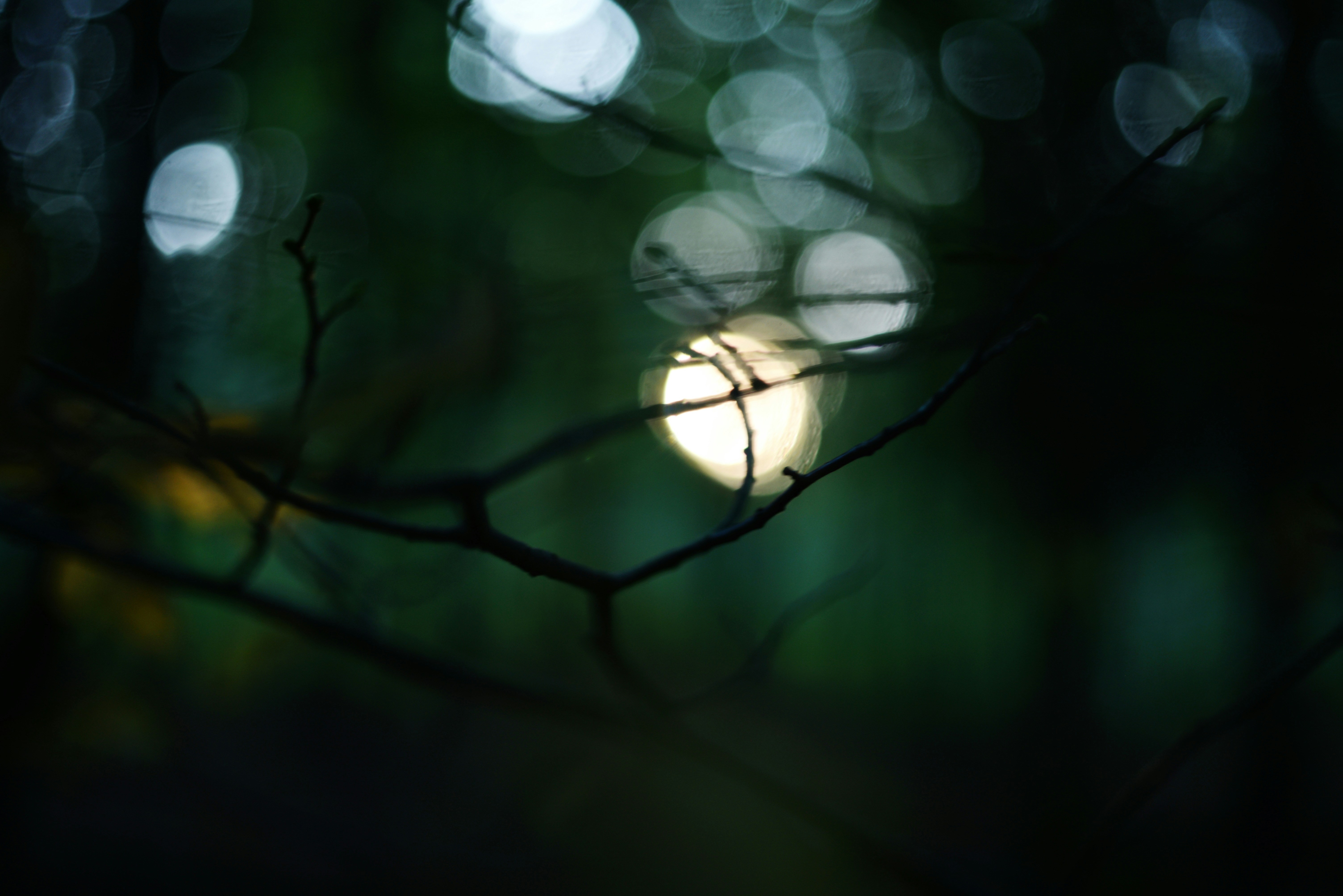 Photo by cherstve_pechivo