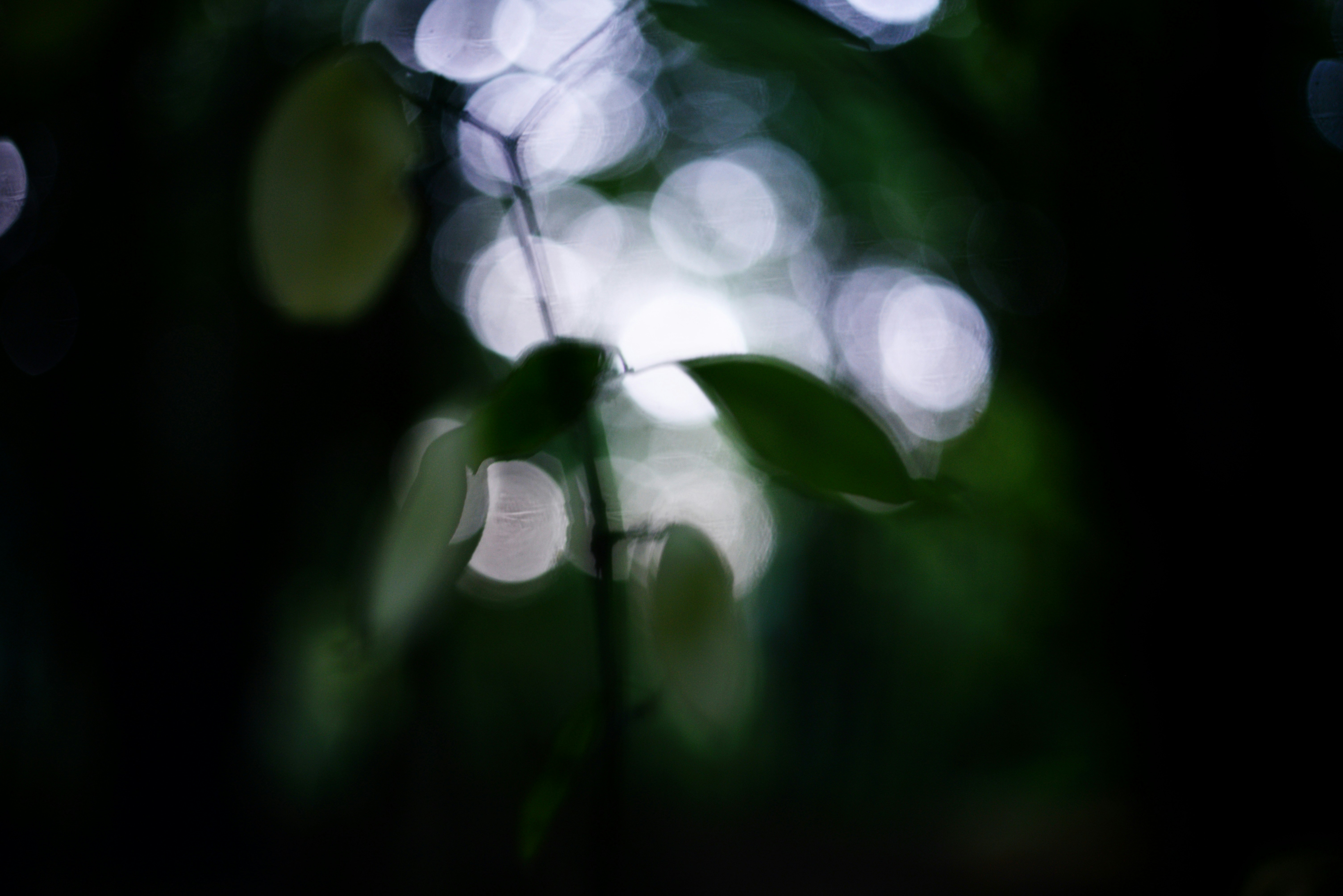 Photo by cherstve_pechivo