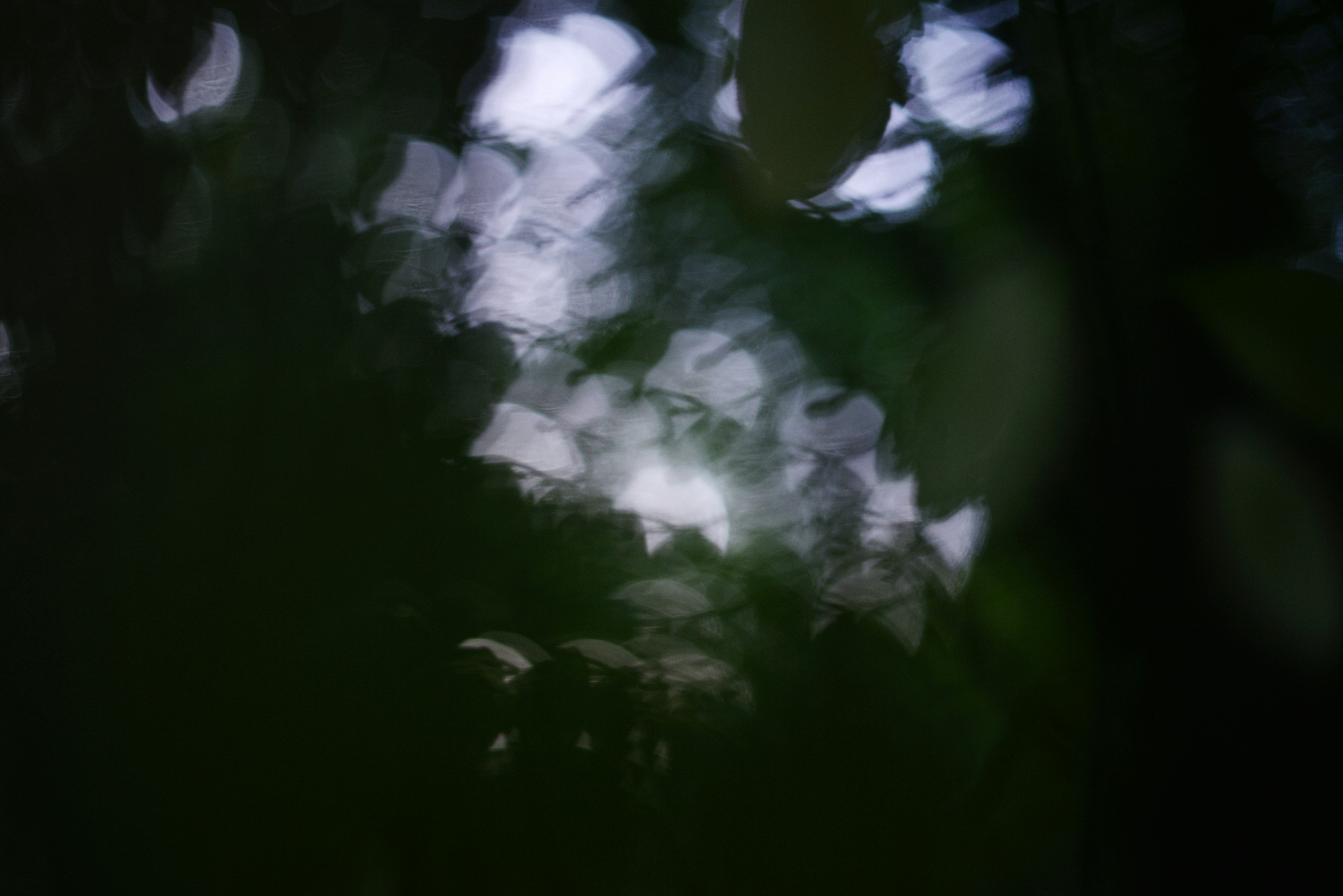 Photo by cherstve_pechivo