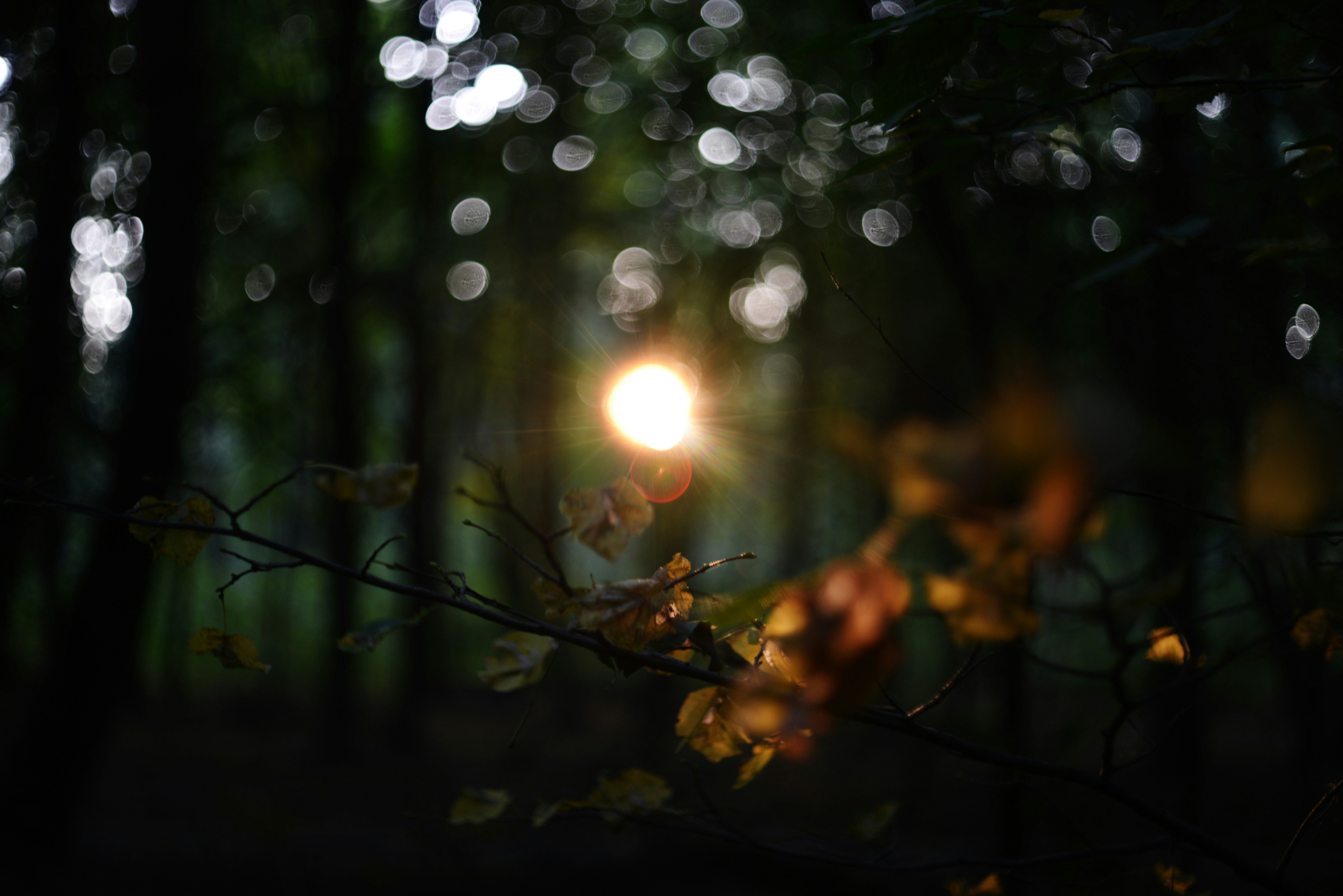 Photo by cherstve_pechivo