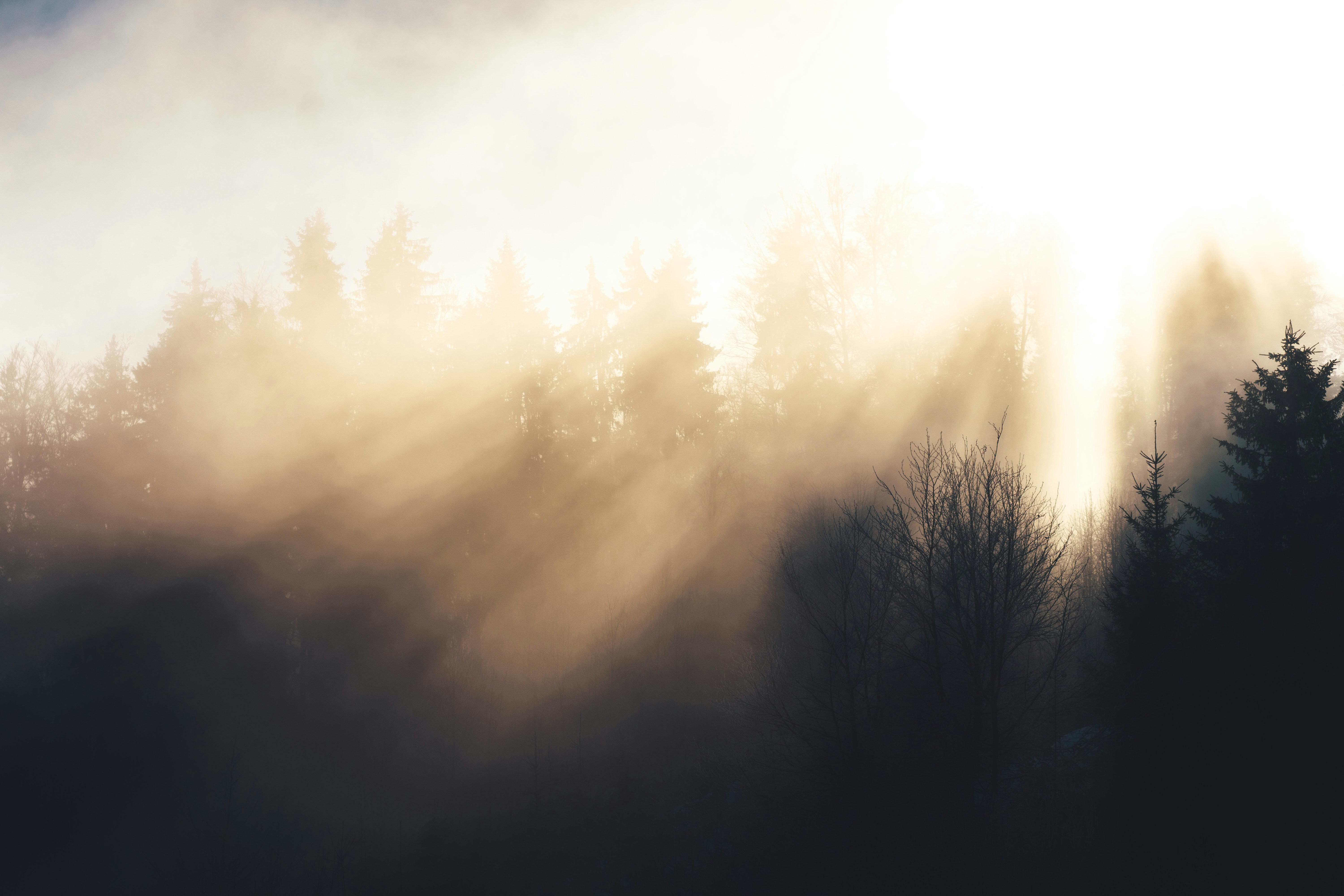 NH고향사랑기부예금 중도해지 이자 적용 여부에 대한 모든 것