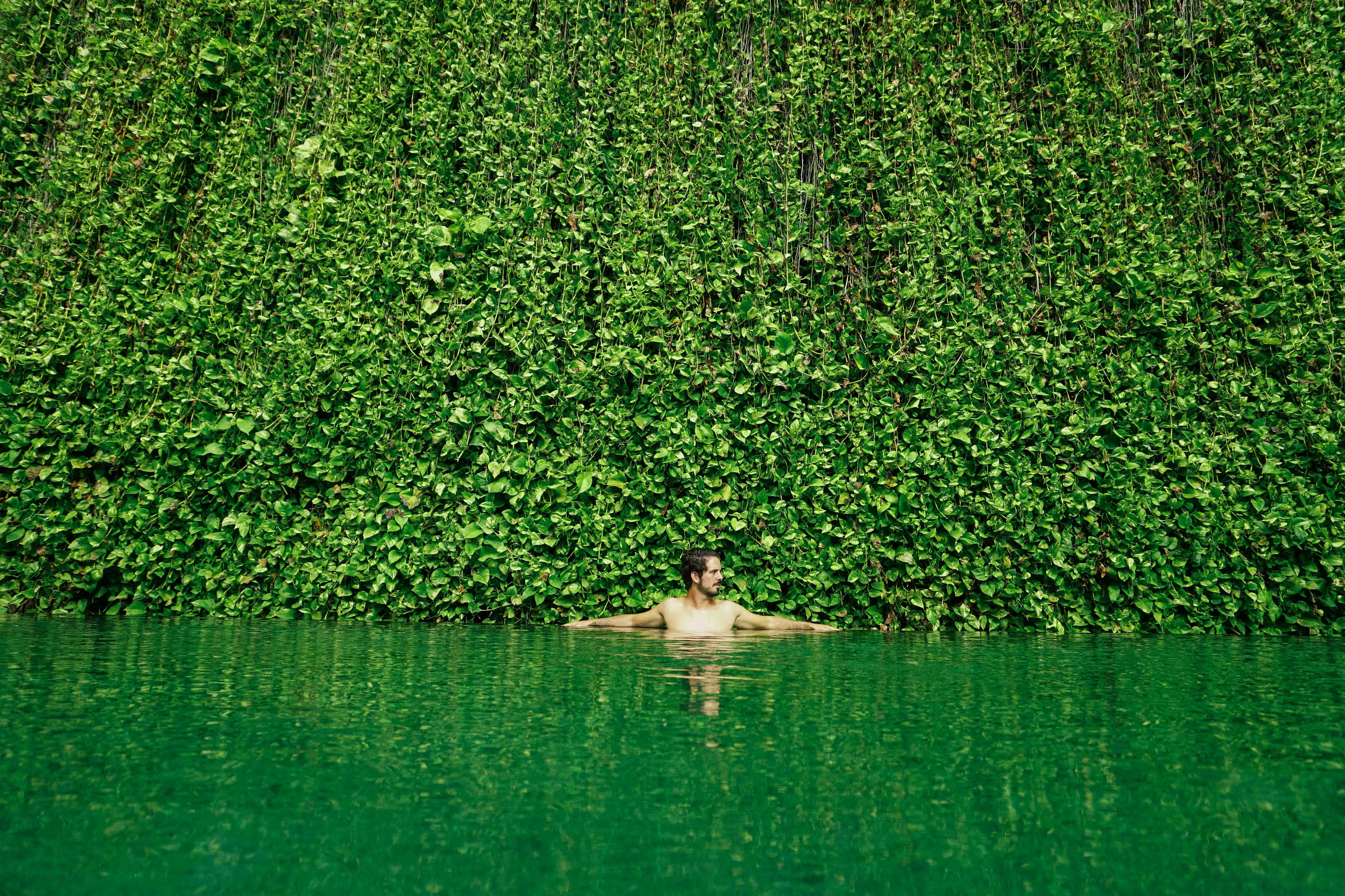 Photo by antonioaaaraujo