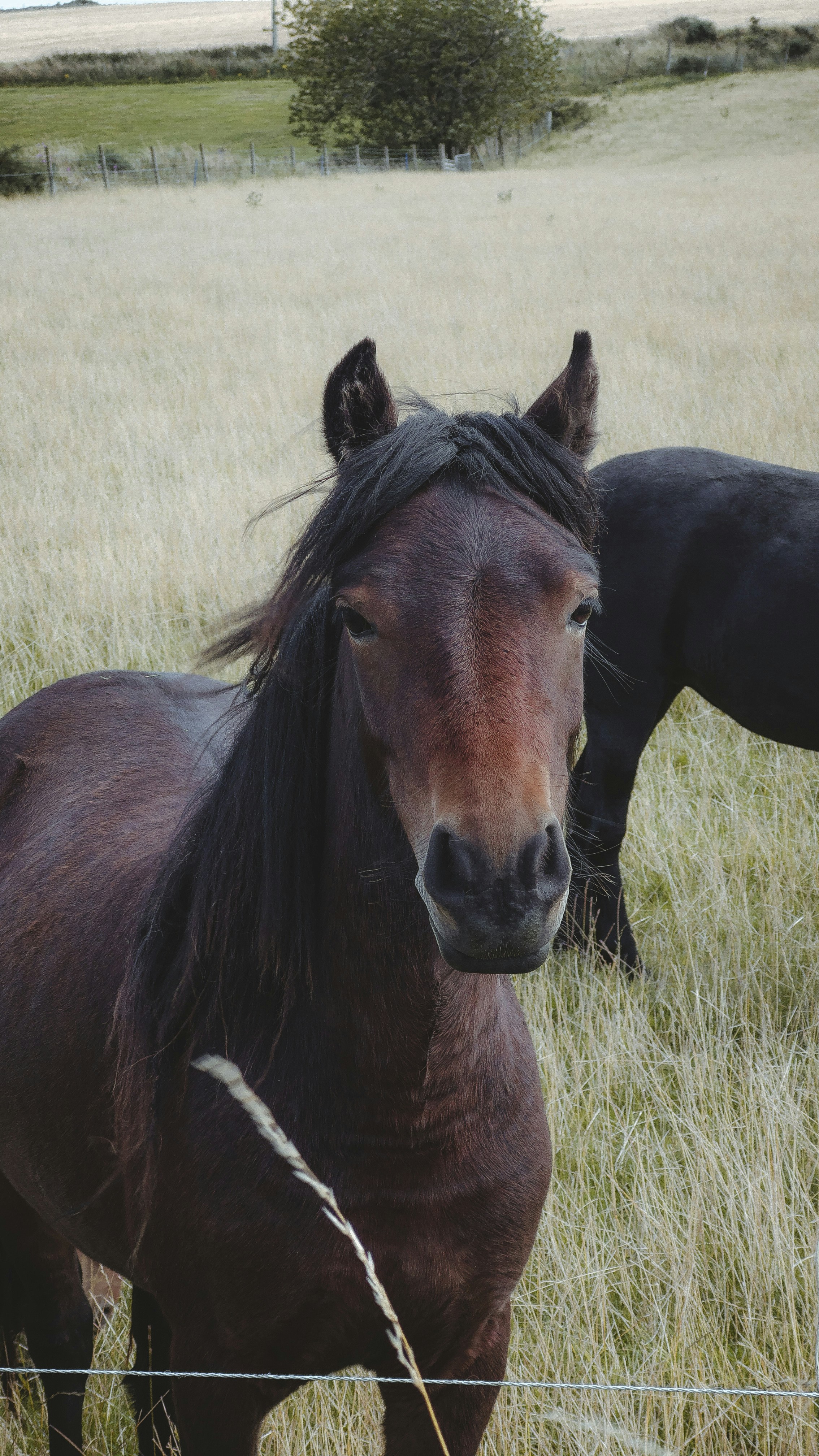 Photo by juliasphotobook