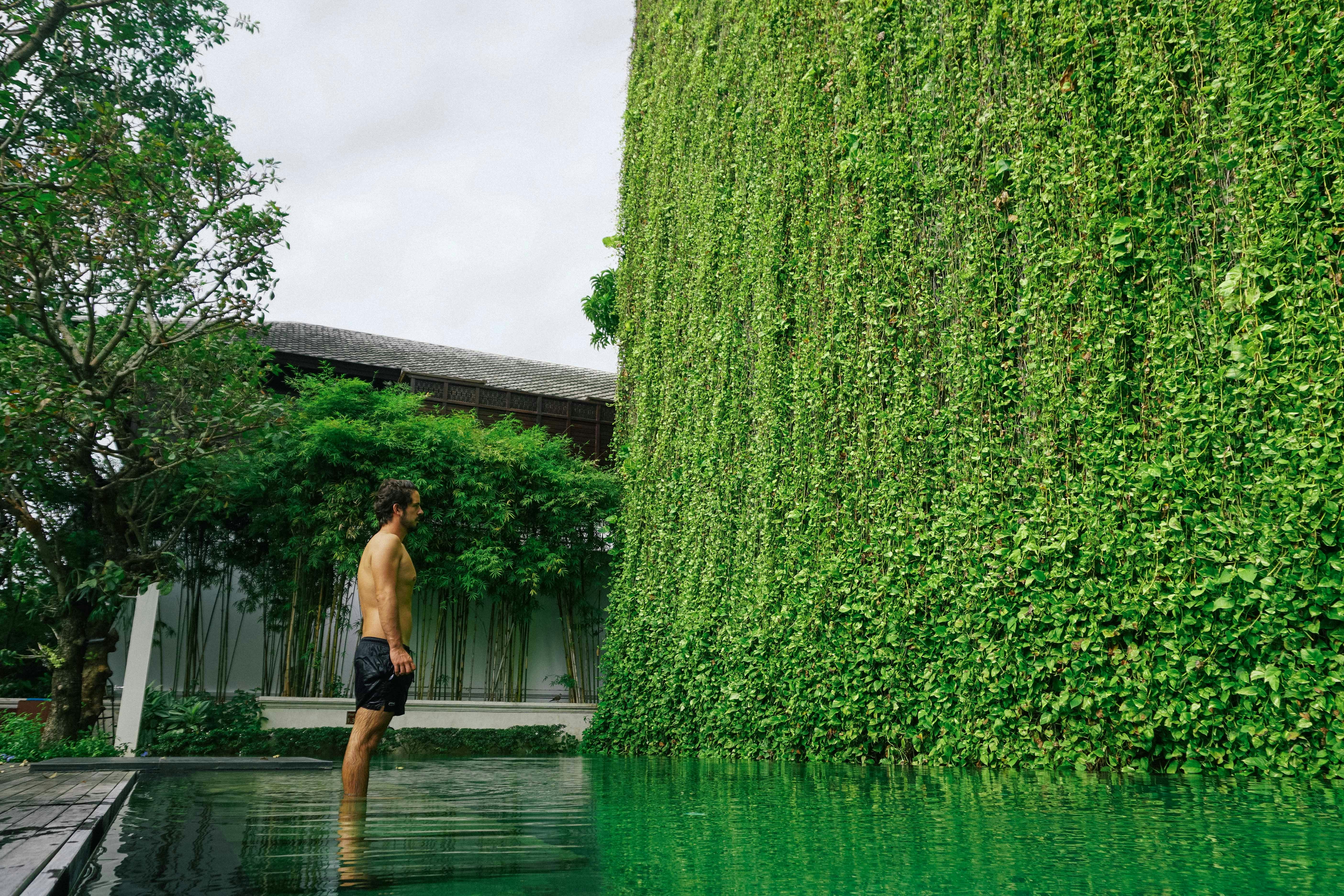 Photo by antonioaaaraujo