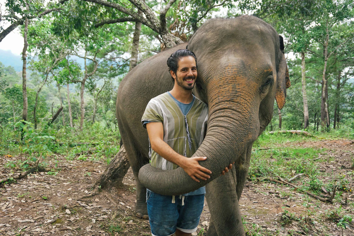A visitor gently holding the trunk of an elephant in a forest clearing, no chains or platforms visible