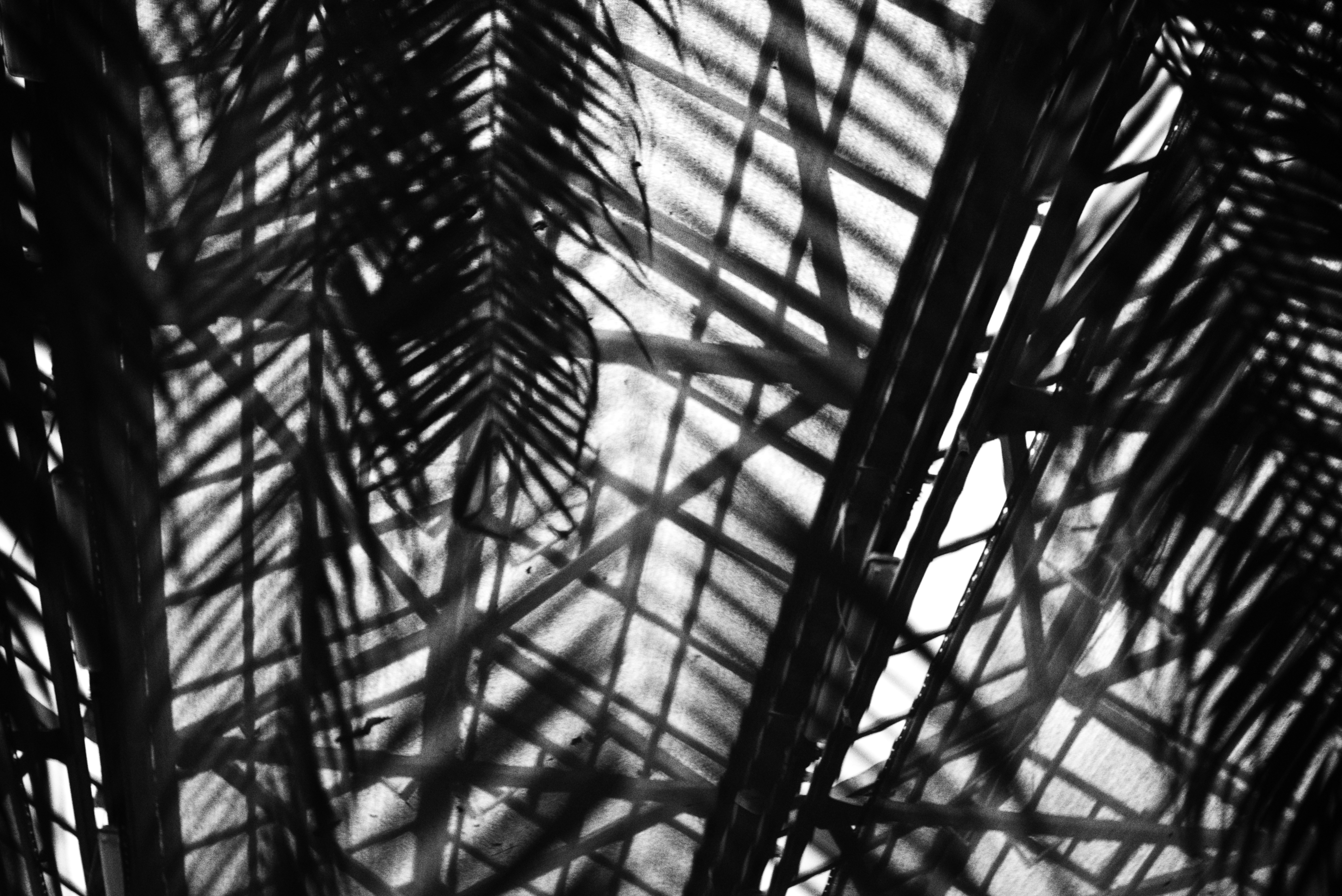 Photo by cherstve_pechivo