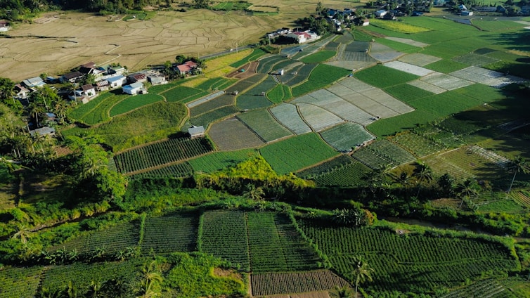 An aerial view of a farm land with houses and trees