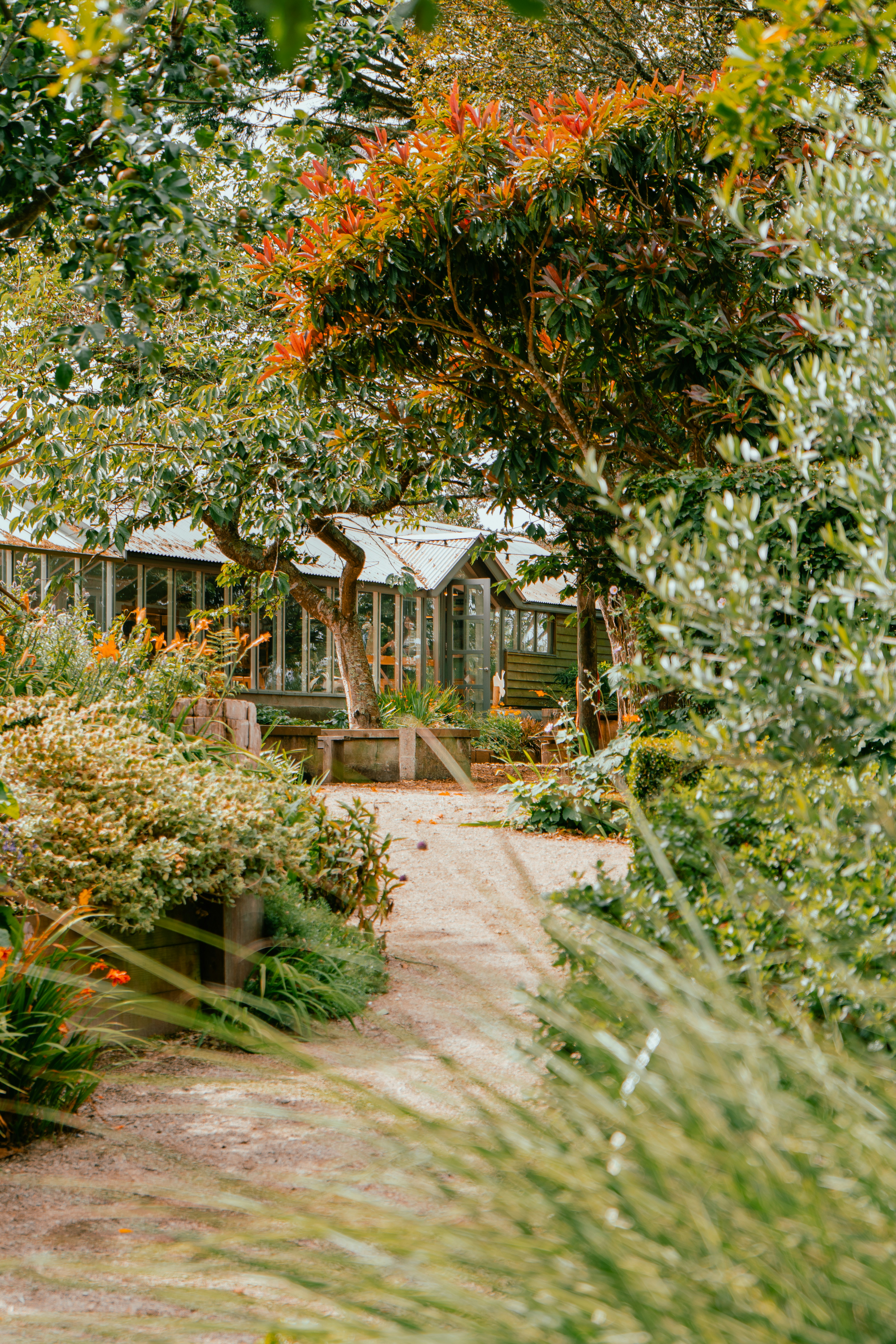 Photo by benjaminelliott