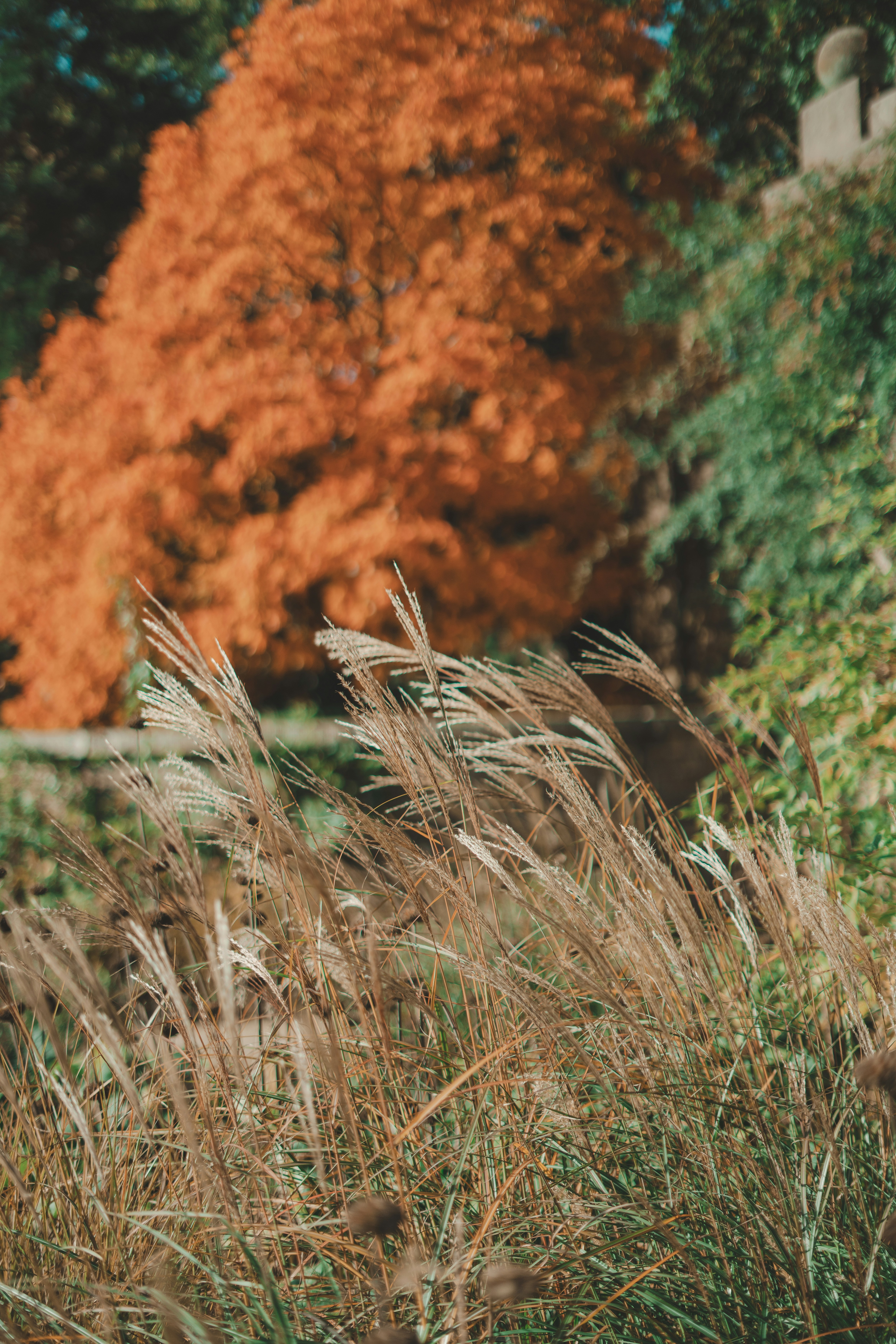 Photo by benjaminelliott