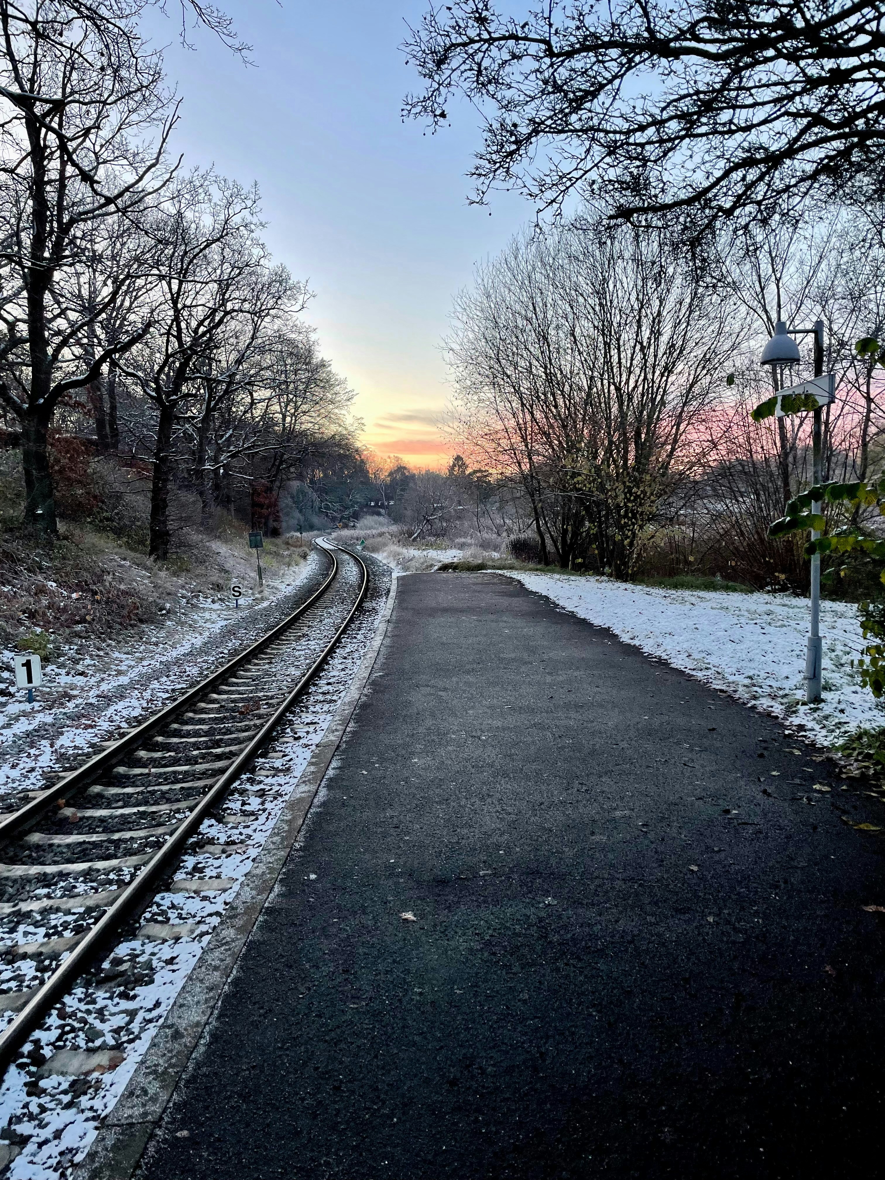 A train track that is next to some trees