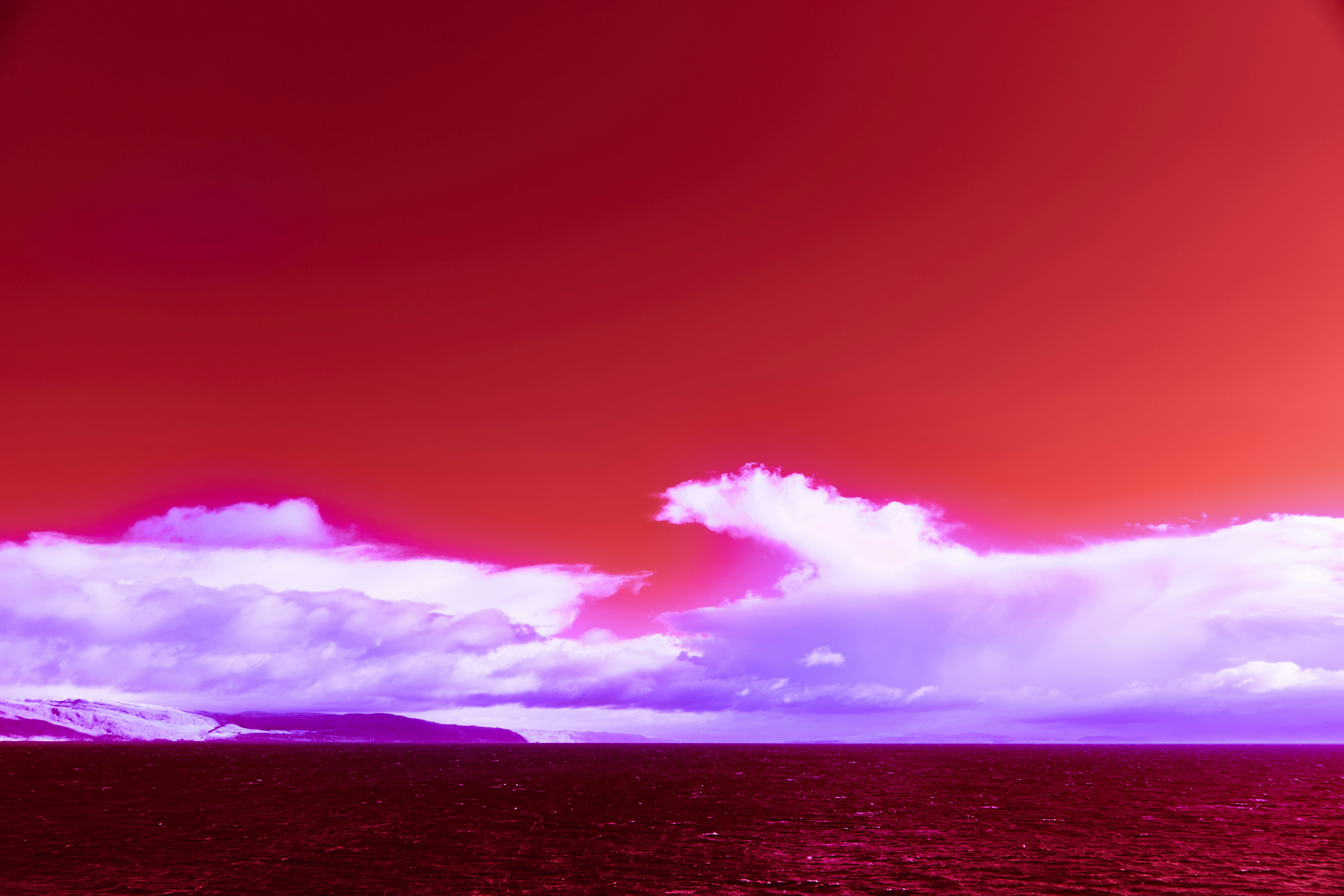 Photo by wolfgang_hasselmann