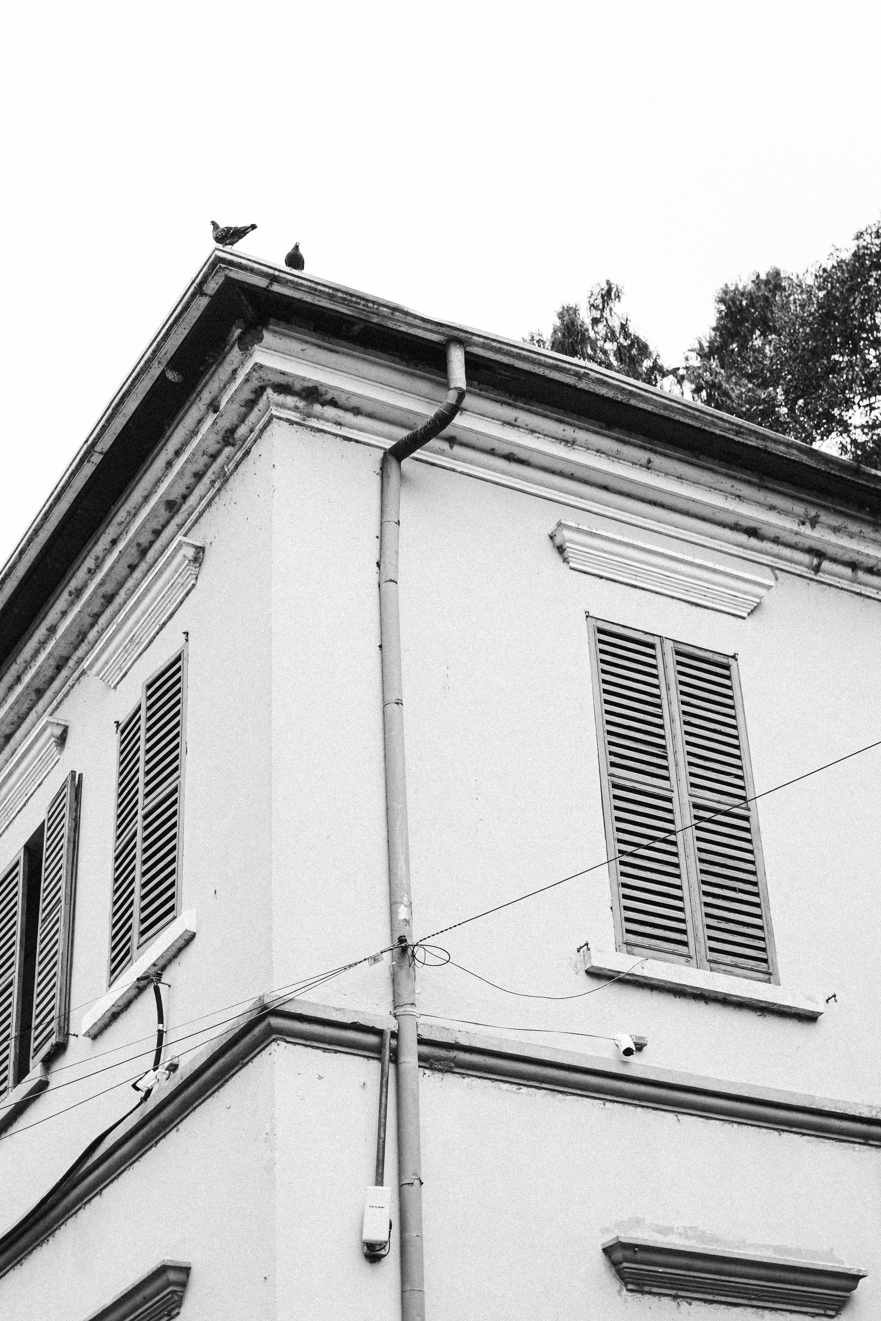 Photo by julianemonari