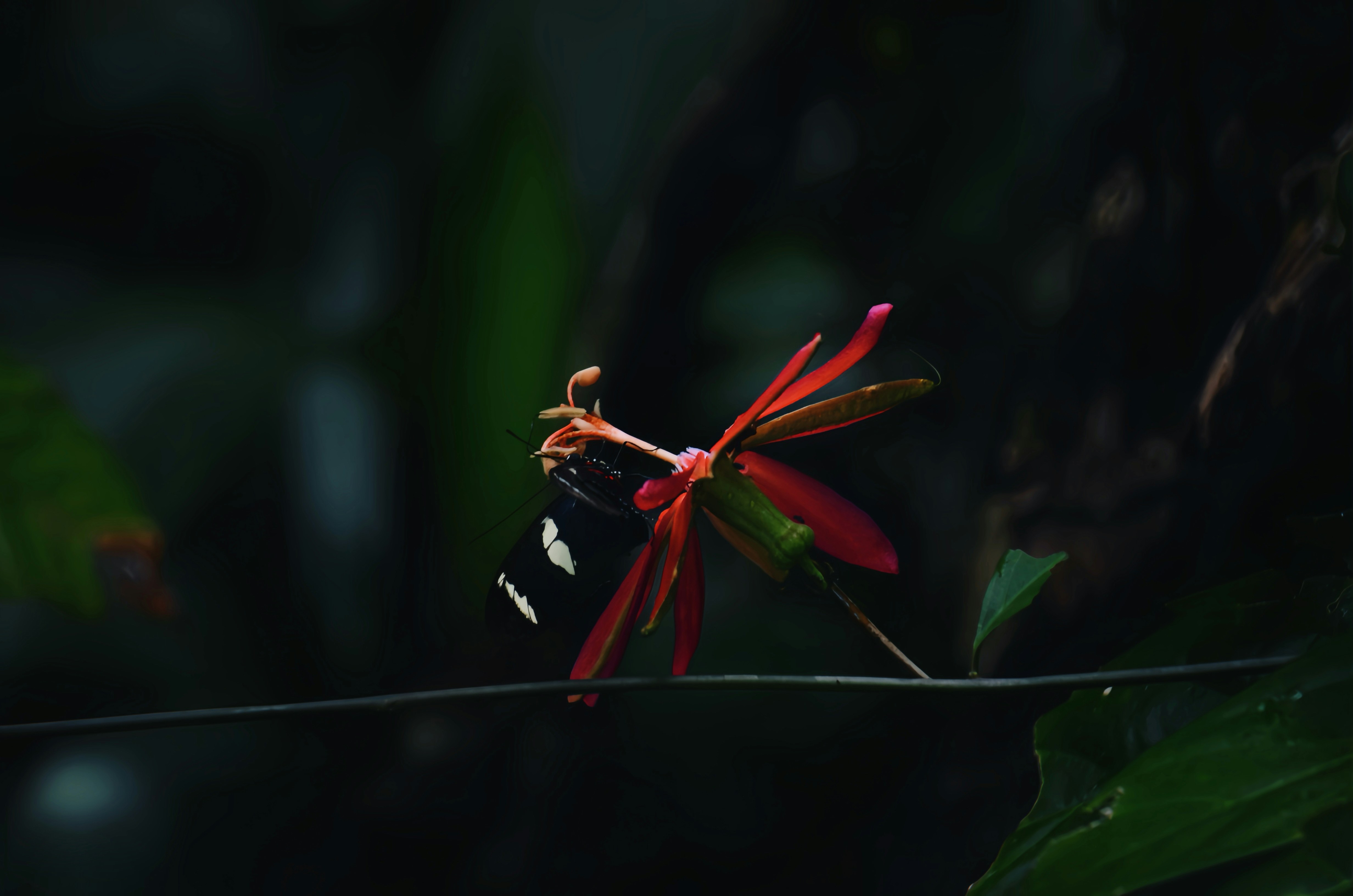 Stay online in the Suriname with a prepaid eSIM from eSIMlii. Instant activation, no roaming charges, and reliable coverage.