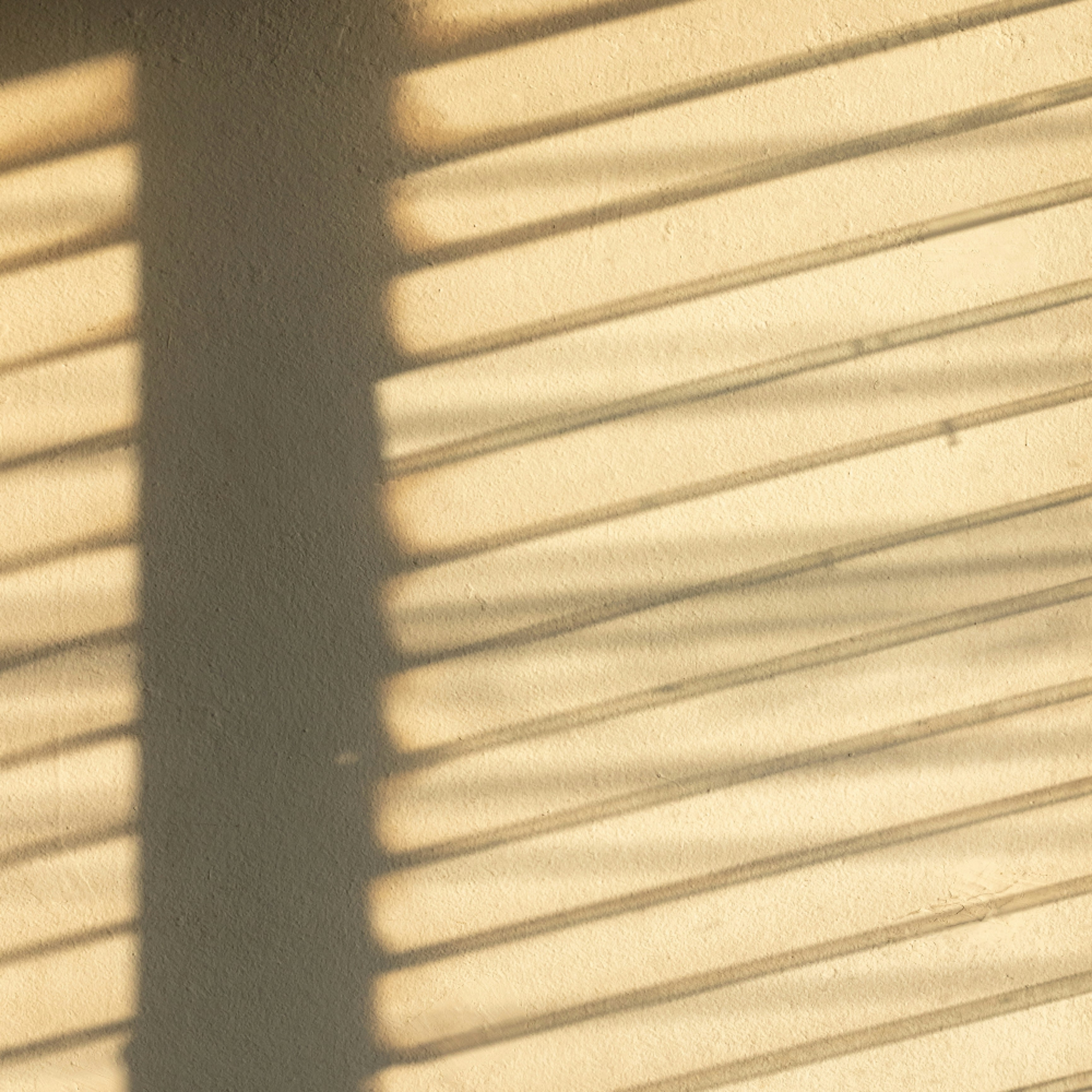 Photo by sumit_0_0_1