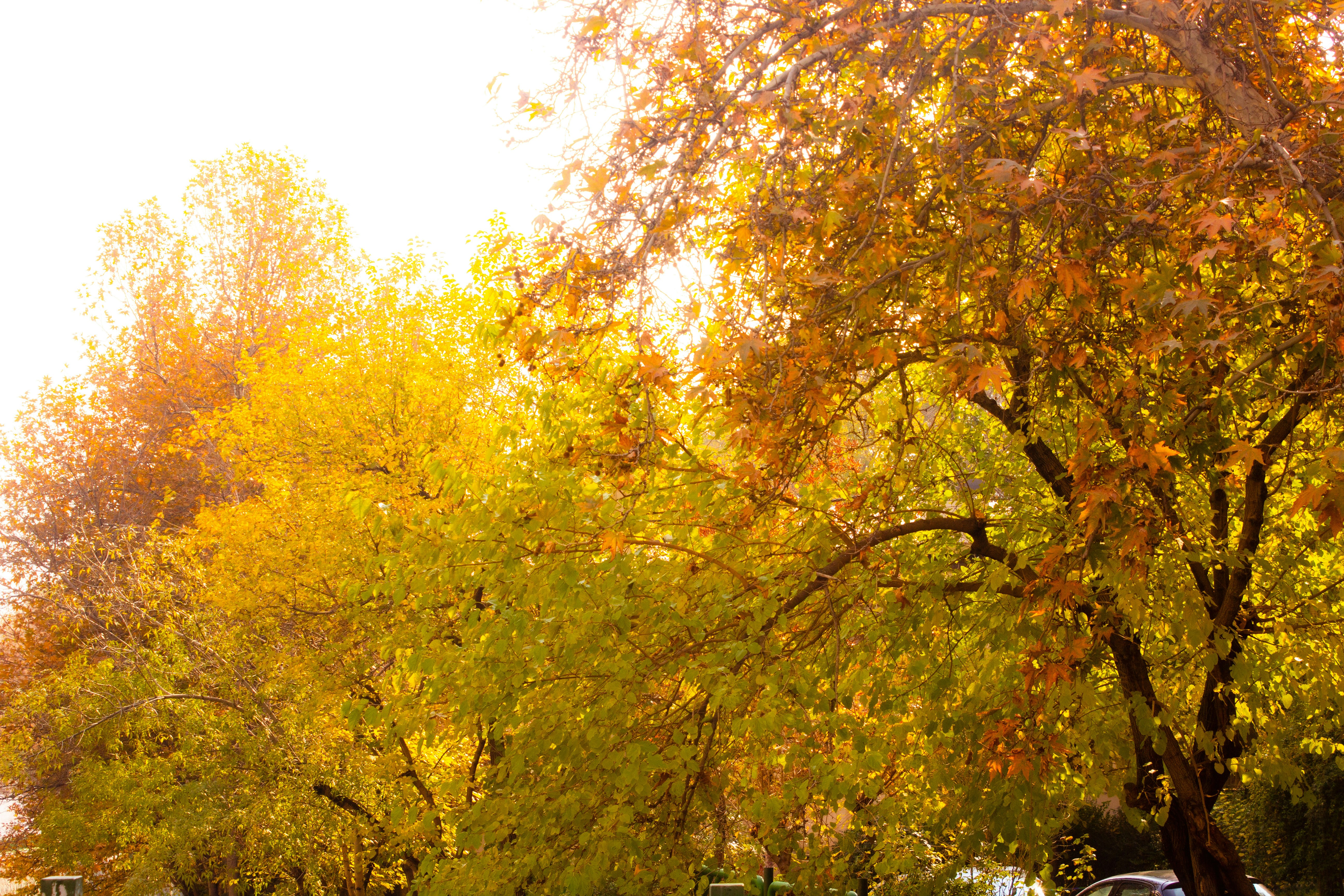 Photo by elham_frame