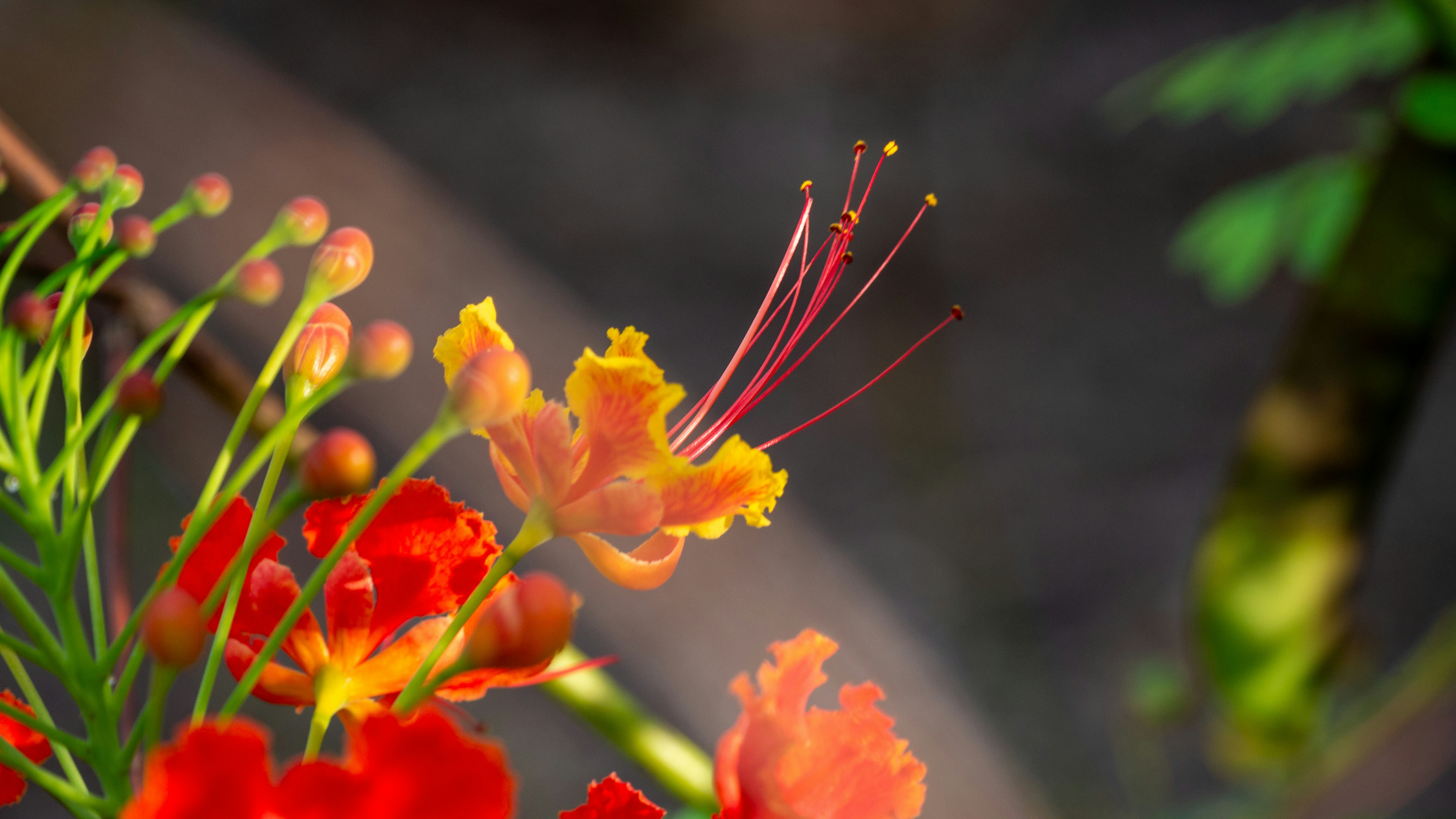 Photo by editable_edits