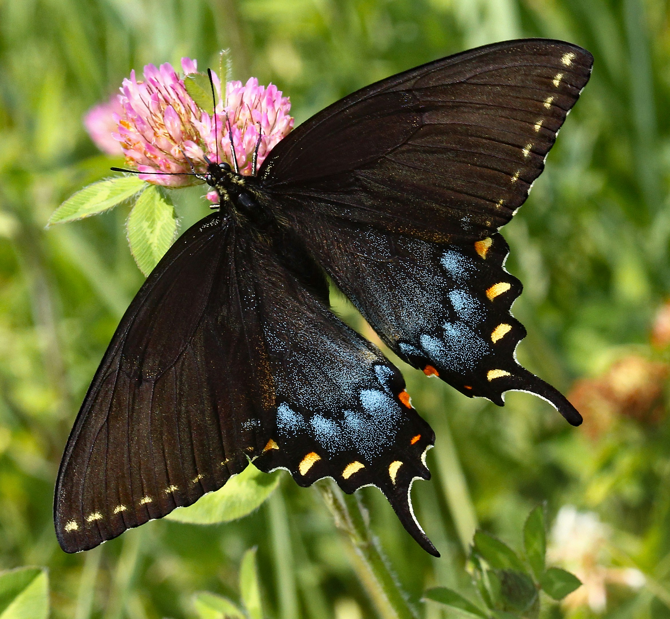 Photo by telliottmbamsc