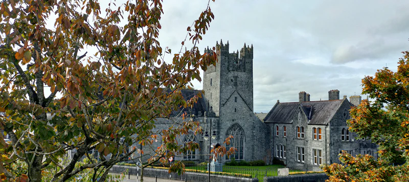 Best Pet-Friendly Cafes in Kilkenny Where Your Dog Is as Welcome as You