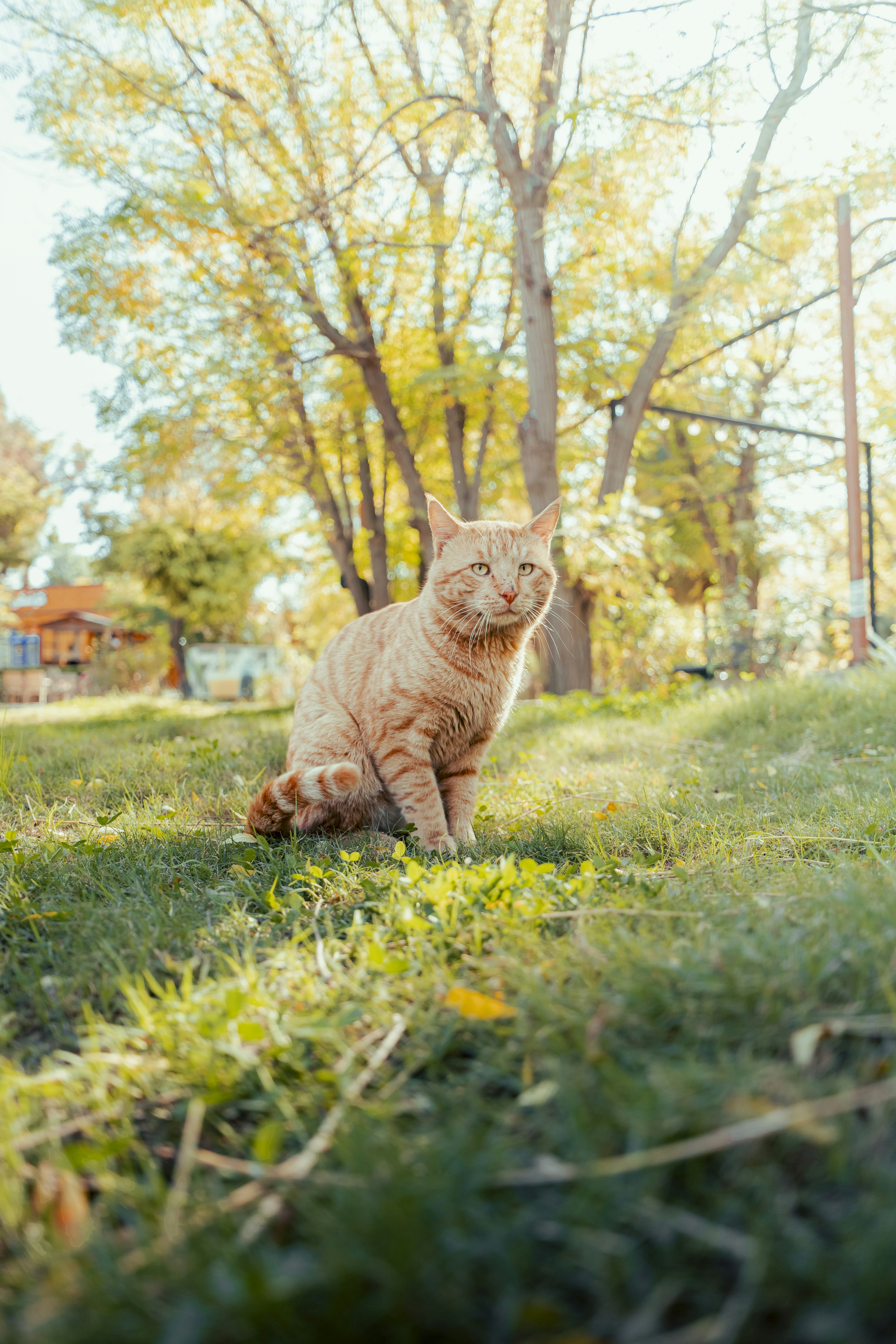 Photo by photographer_esmihel