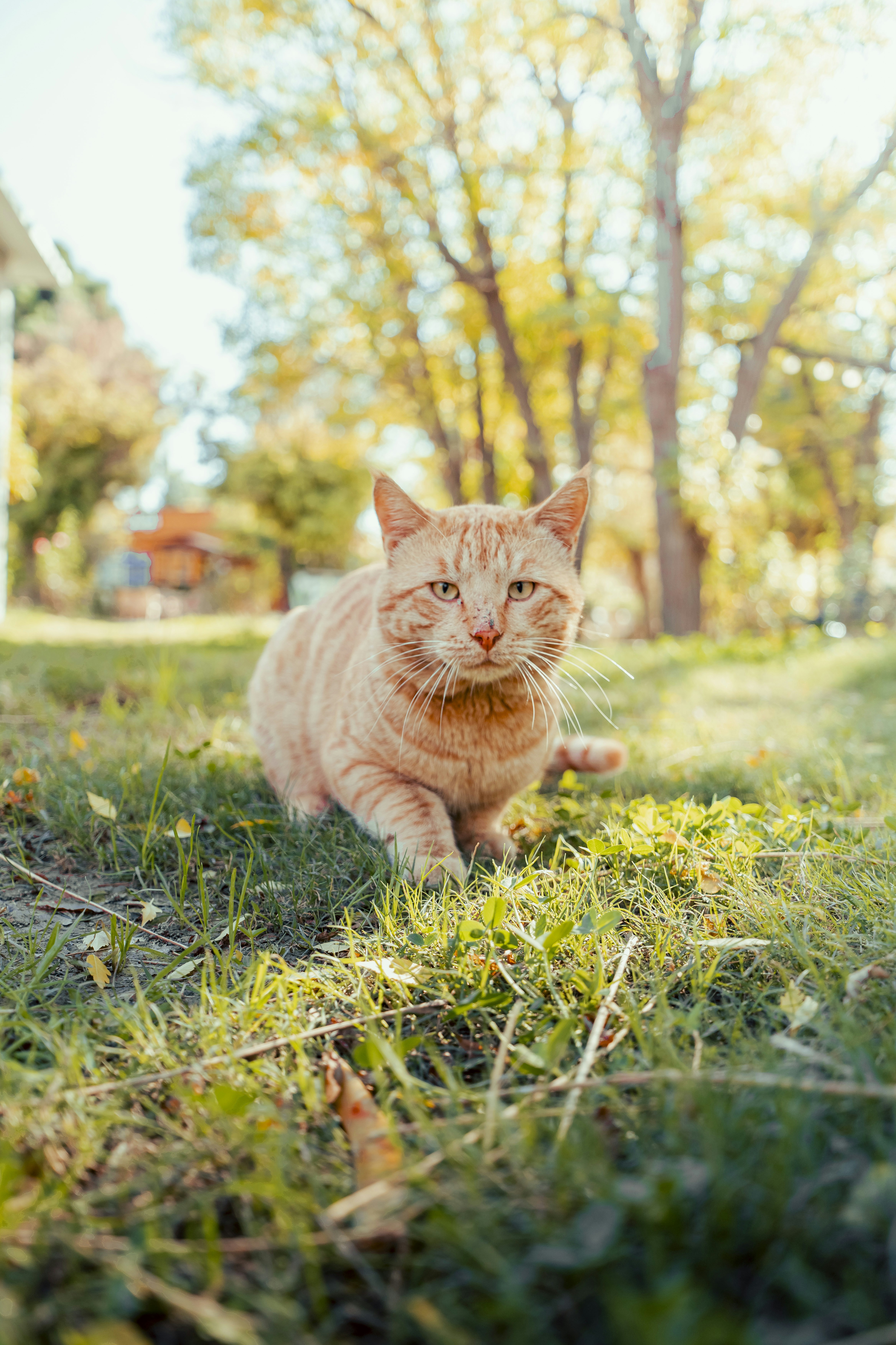 Photo by photographer_esmihel