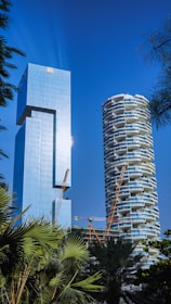 A tall building next to a palm tree