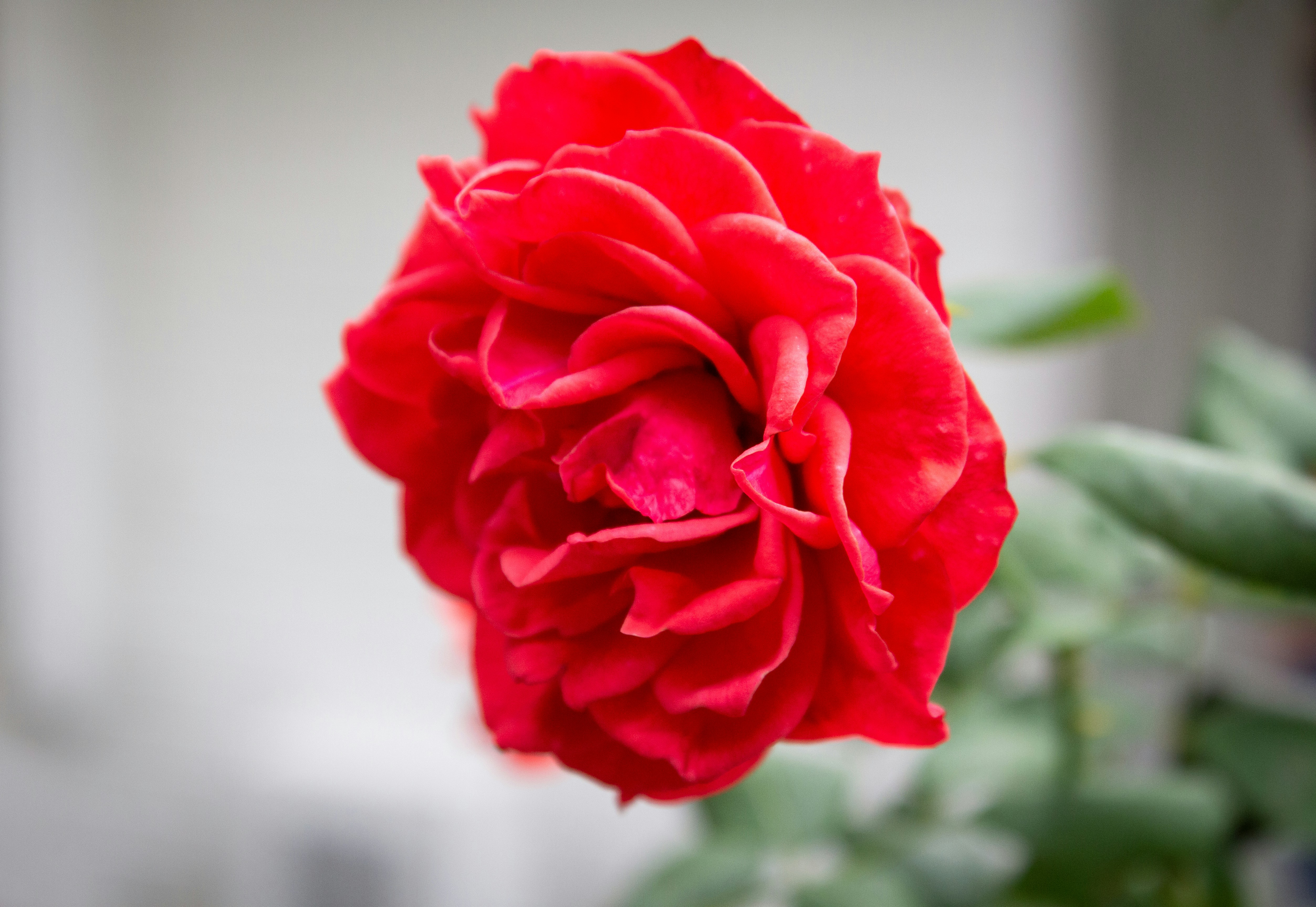 Photo by fundrisingformysonmedicalcondition