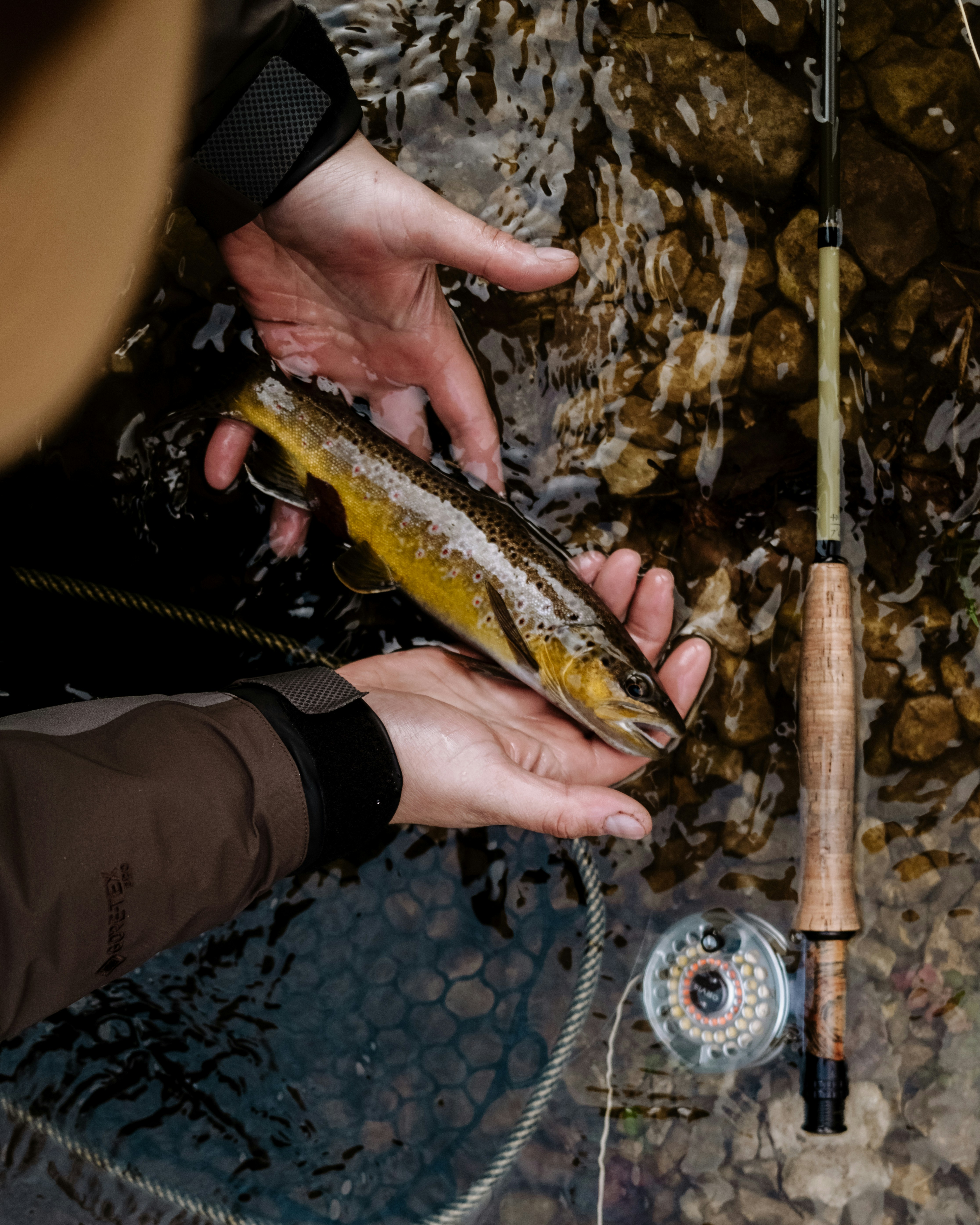 A man holding a fish while standing next to a river