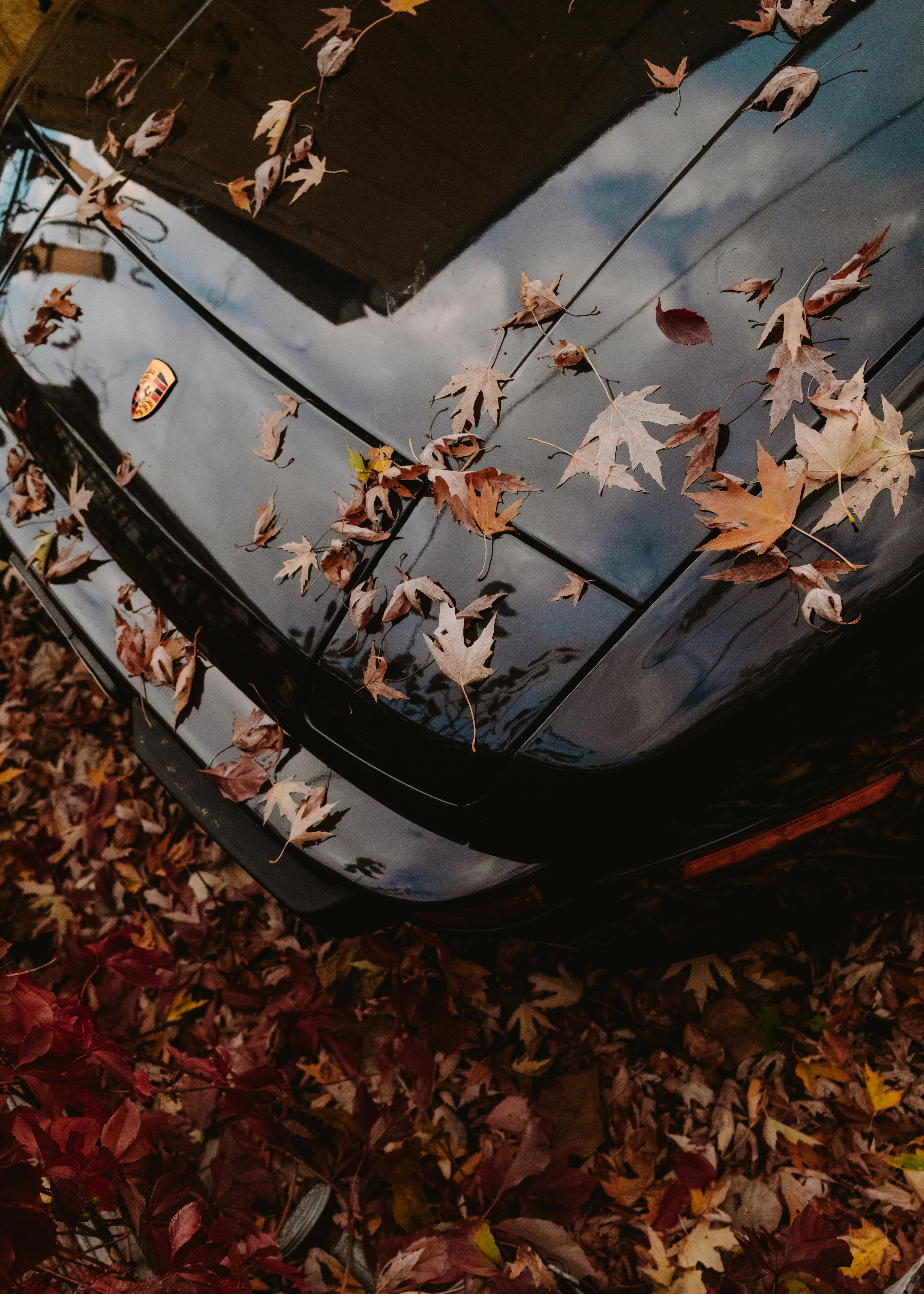 A car parked on the side of a road covered in leaves