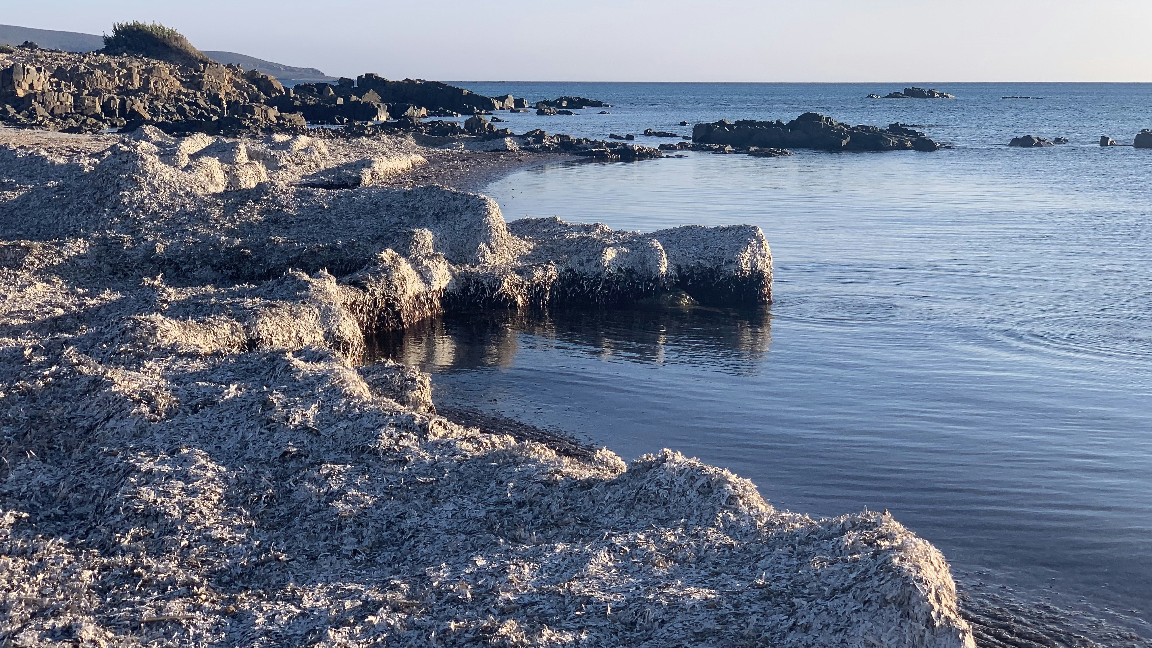 Photo by hillel_1970