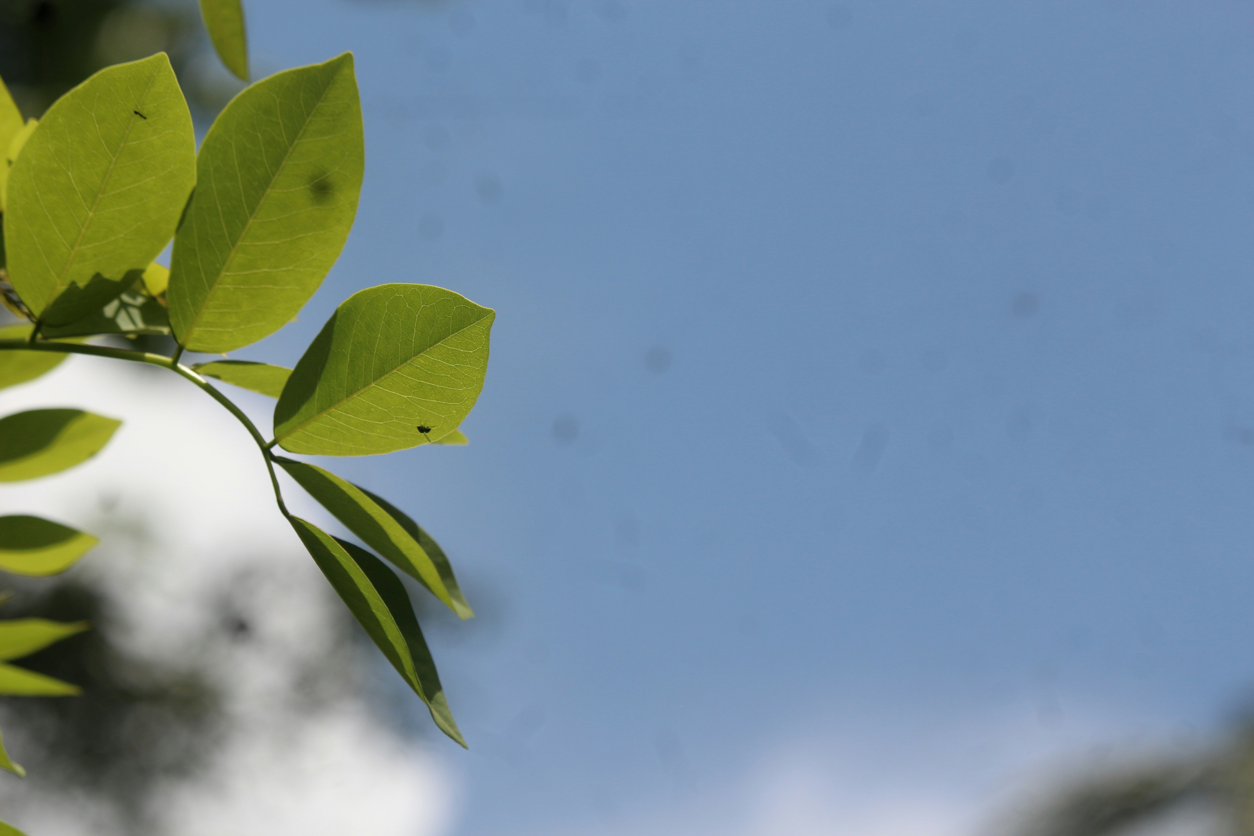 Photo by jibinpmathew787