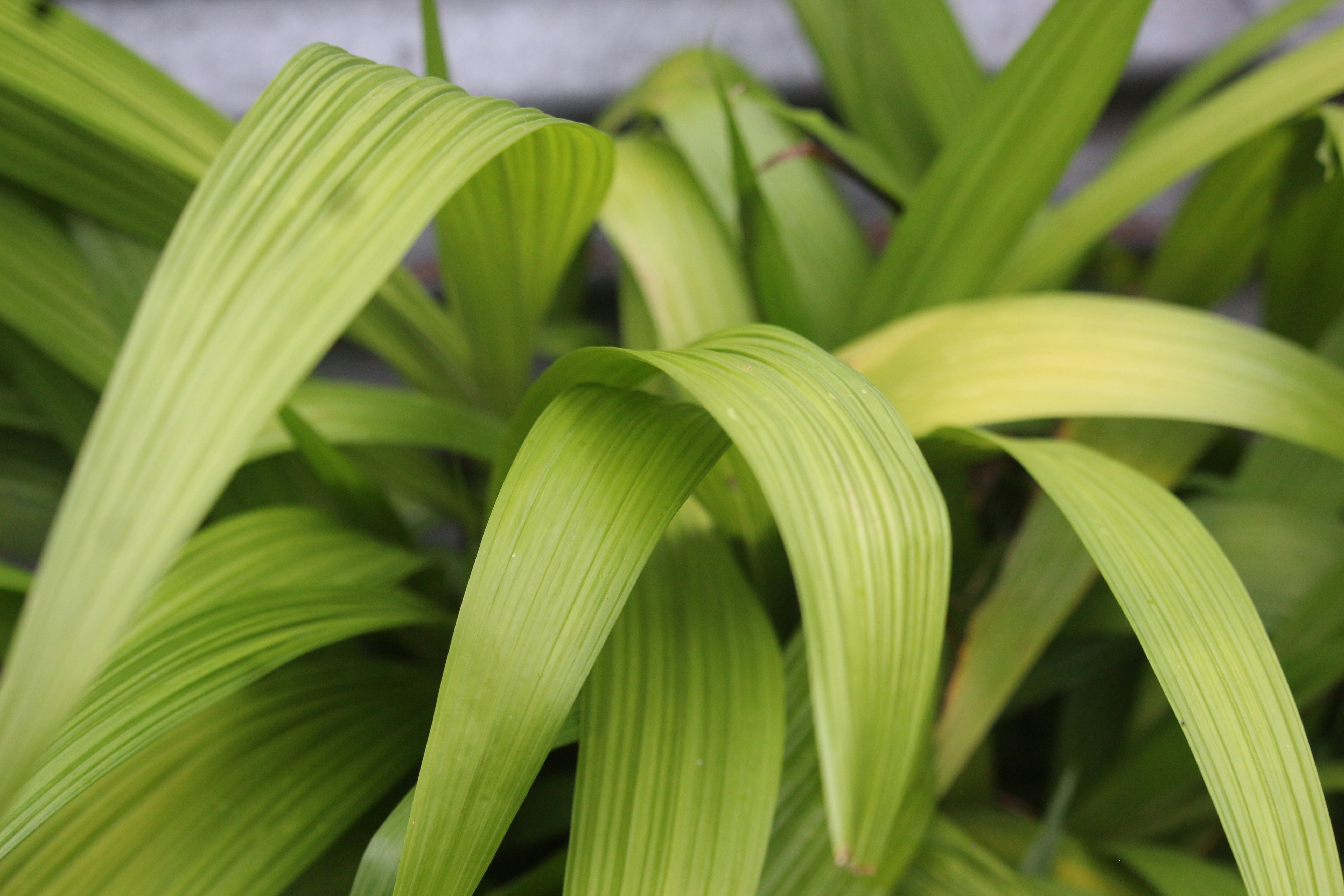 Photo by jibinpmathew787